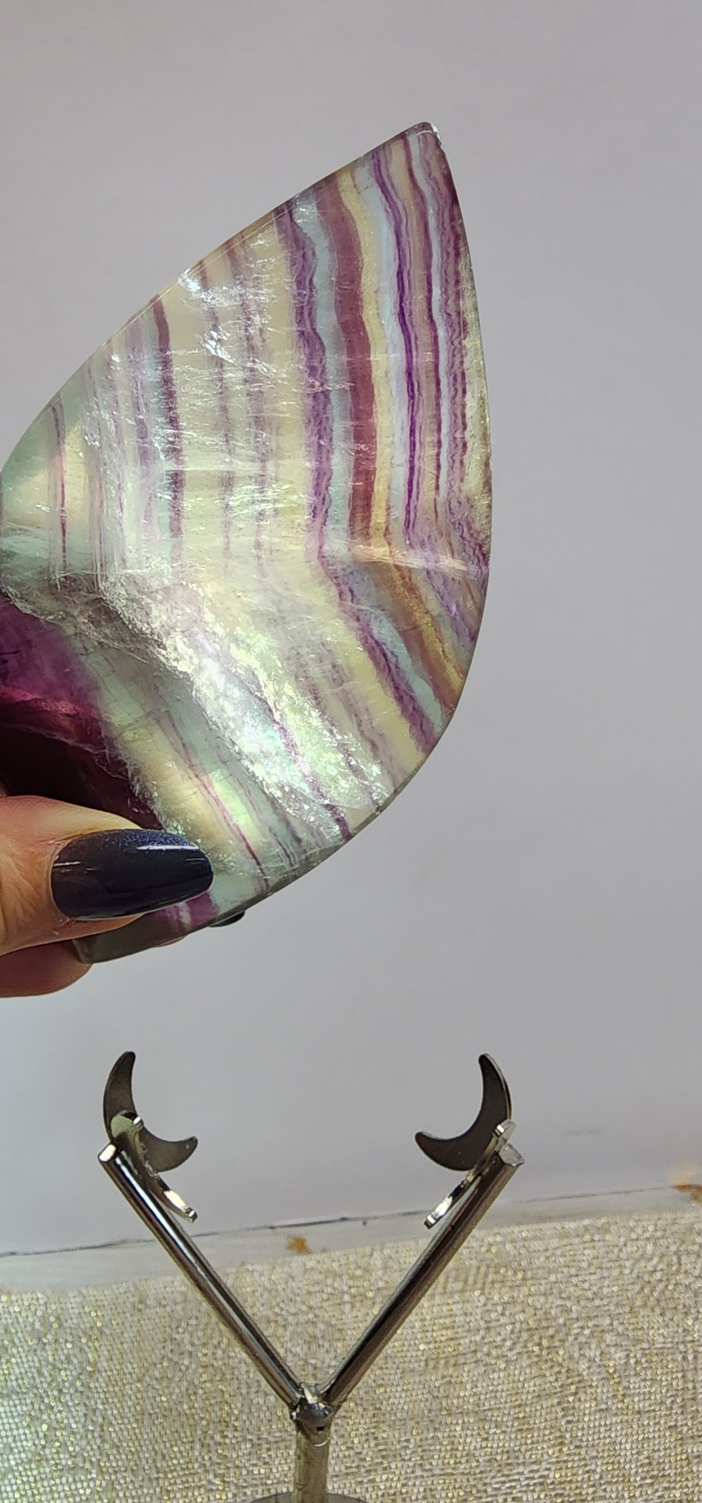 1 Basket Reserved for Lisa