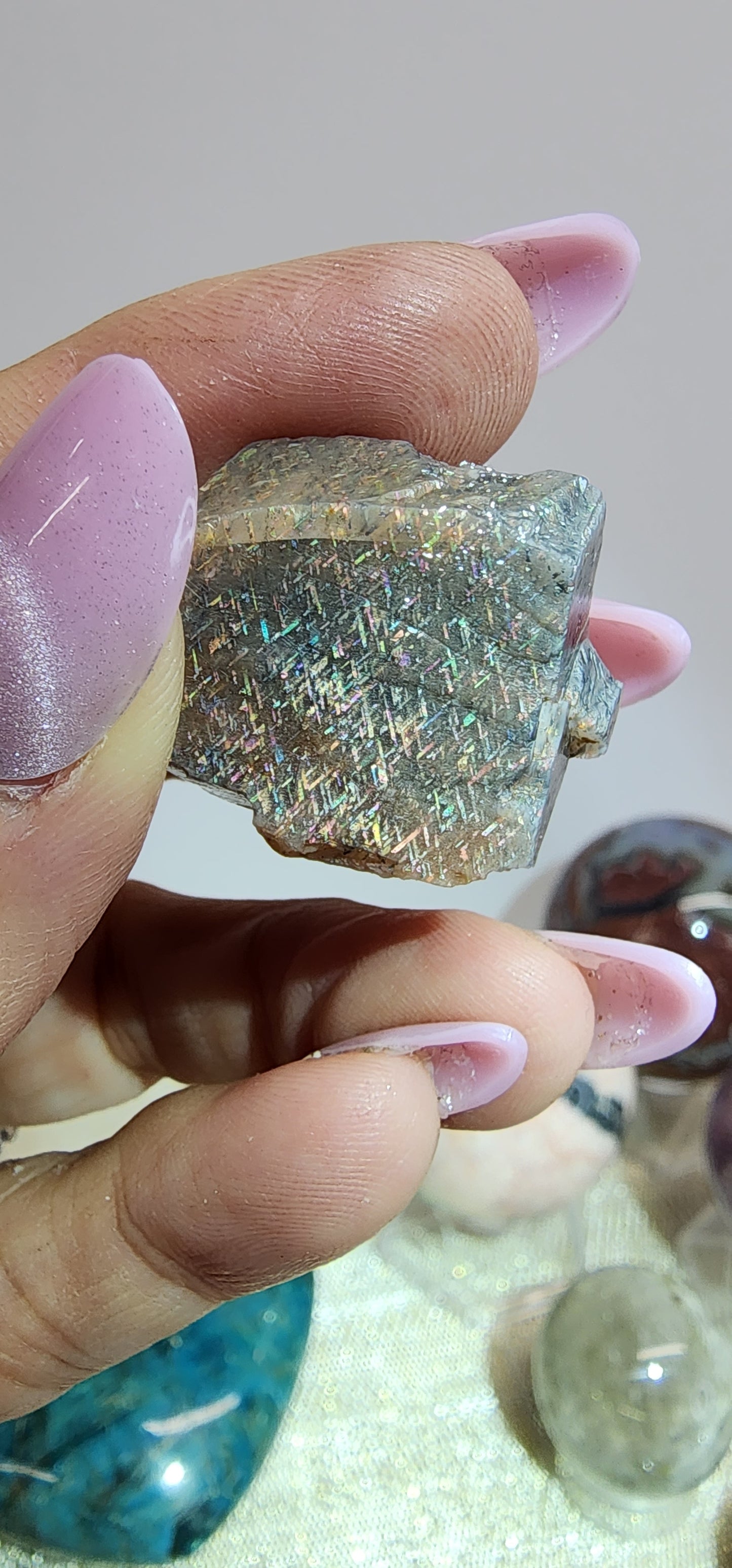 1 Basket Reserved for Renee ON HOLD #2