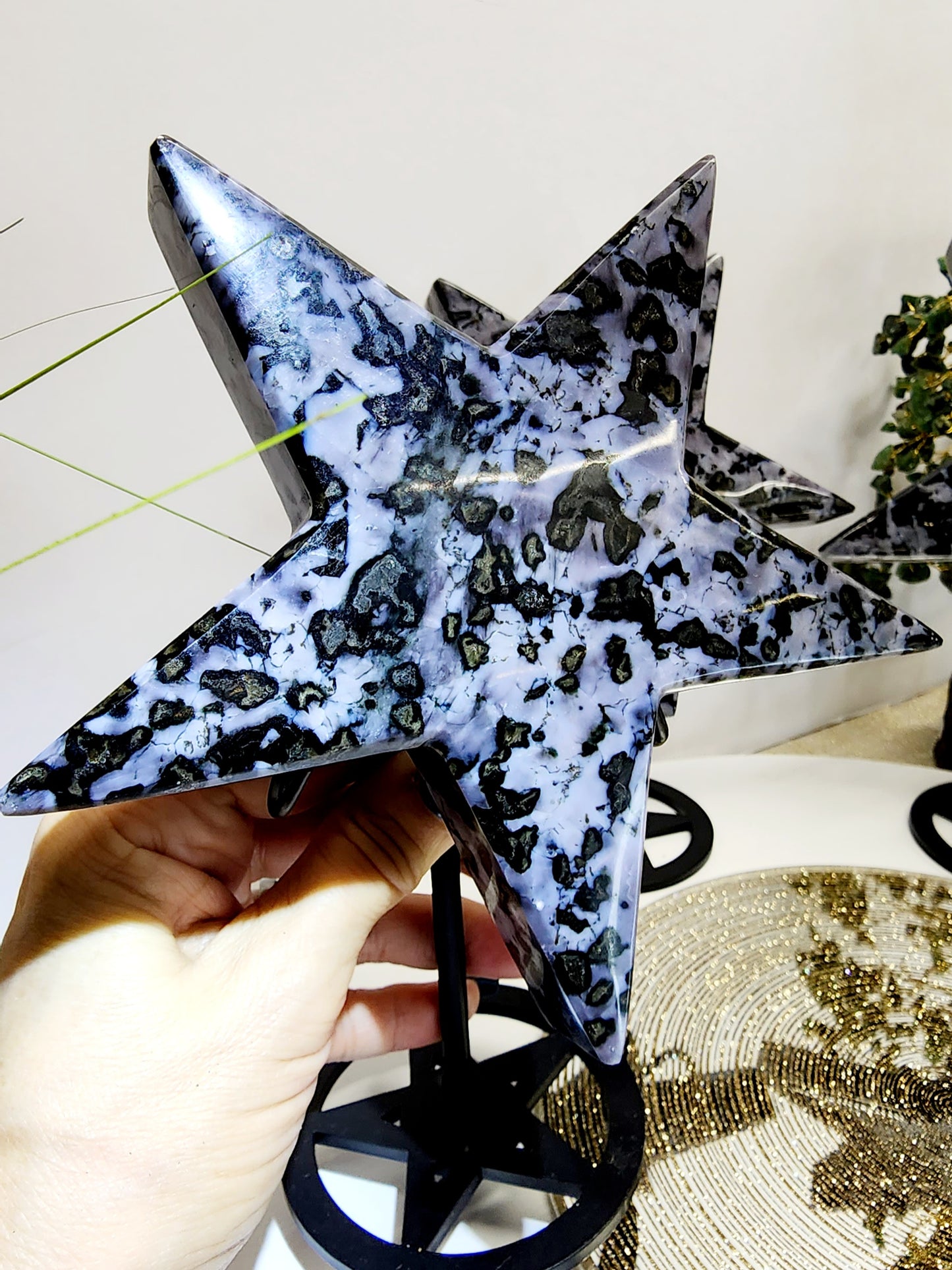 Large Indigo Gabro Star on Stand