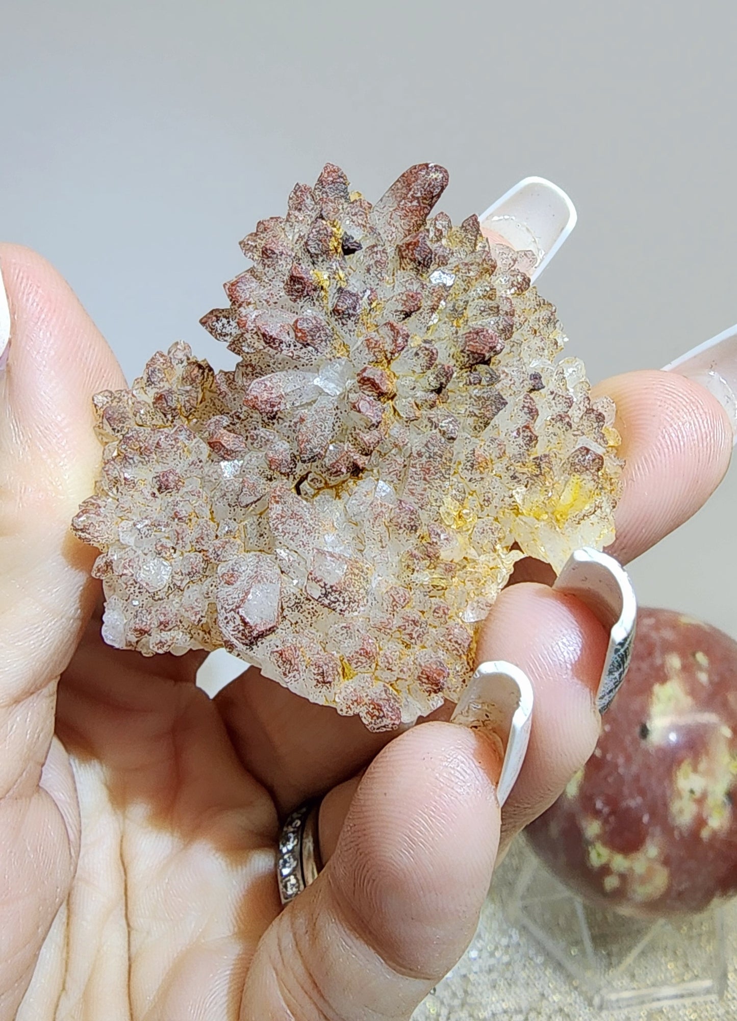 1 Basket Reserved for Kelly