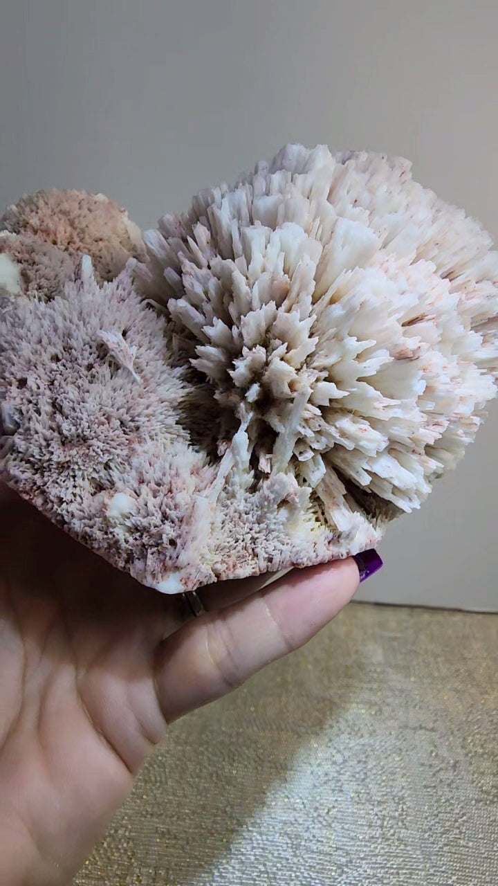 Large Mordenite and Scolecite Specimen with Stilbite from India