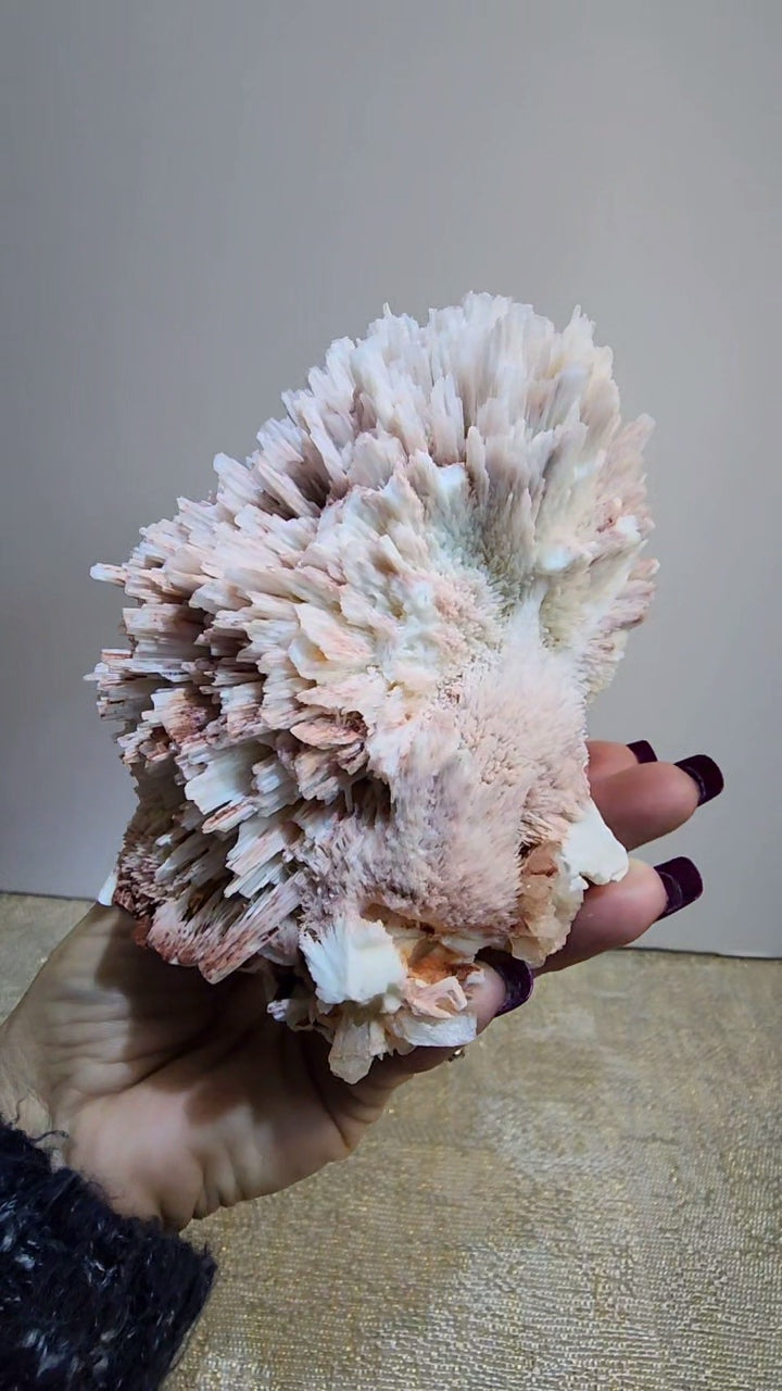 Red Mordenite with Scolecite and Stilbite from India