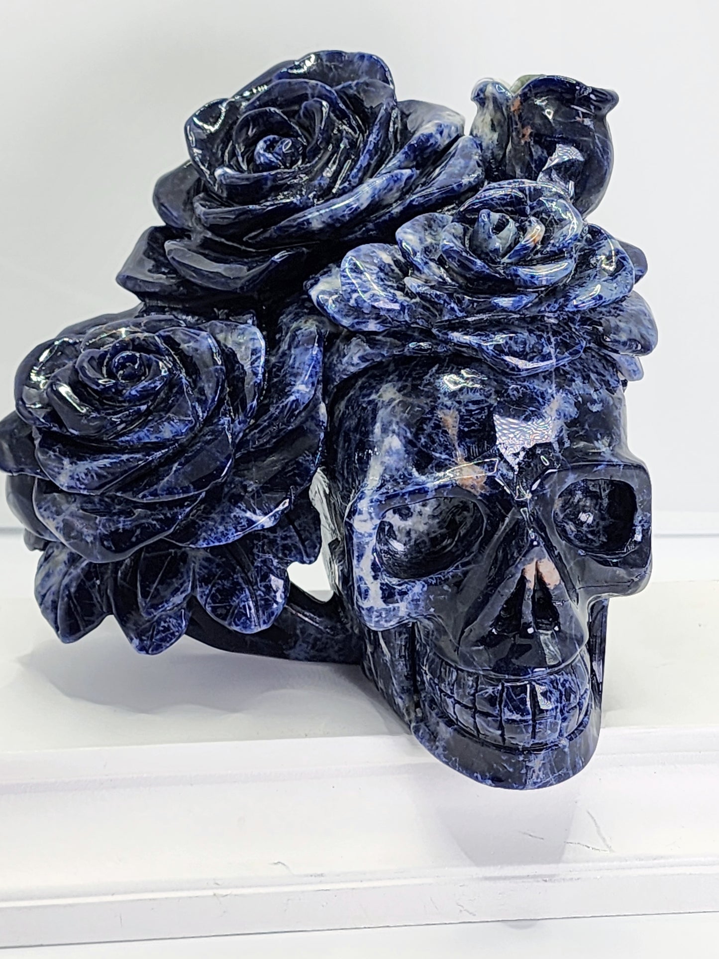 Large Sodalite Skull with Roses 5.5lbs qualifies for free shipping