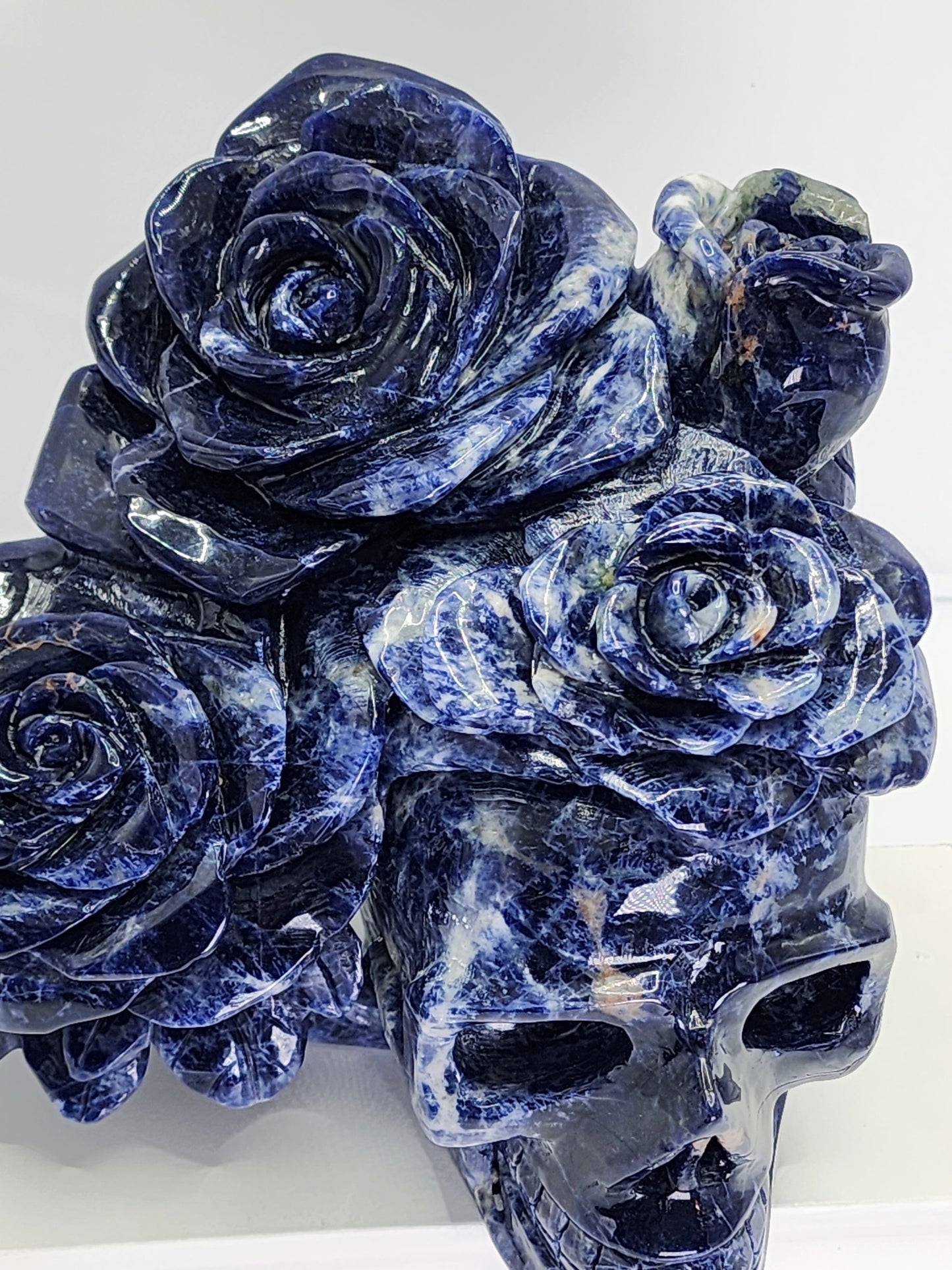 Large Sodalite Skull with Roses 5.5lbs qualifies for free shipping