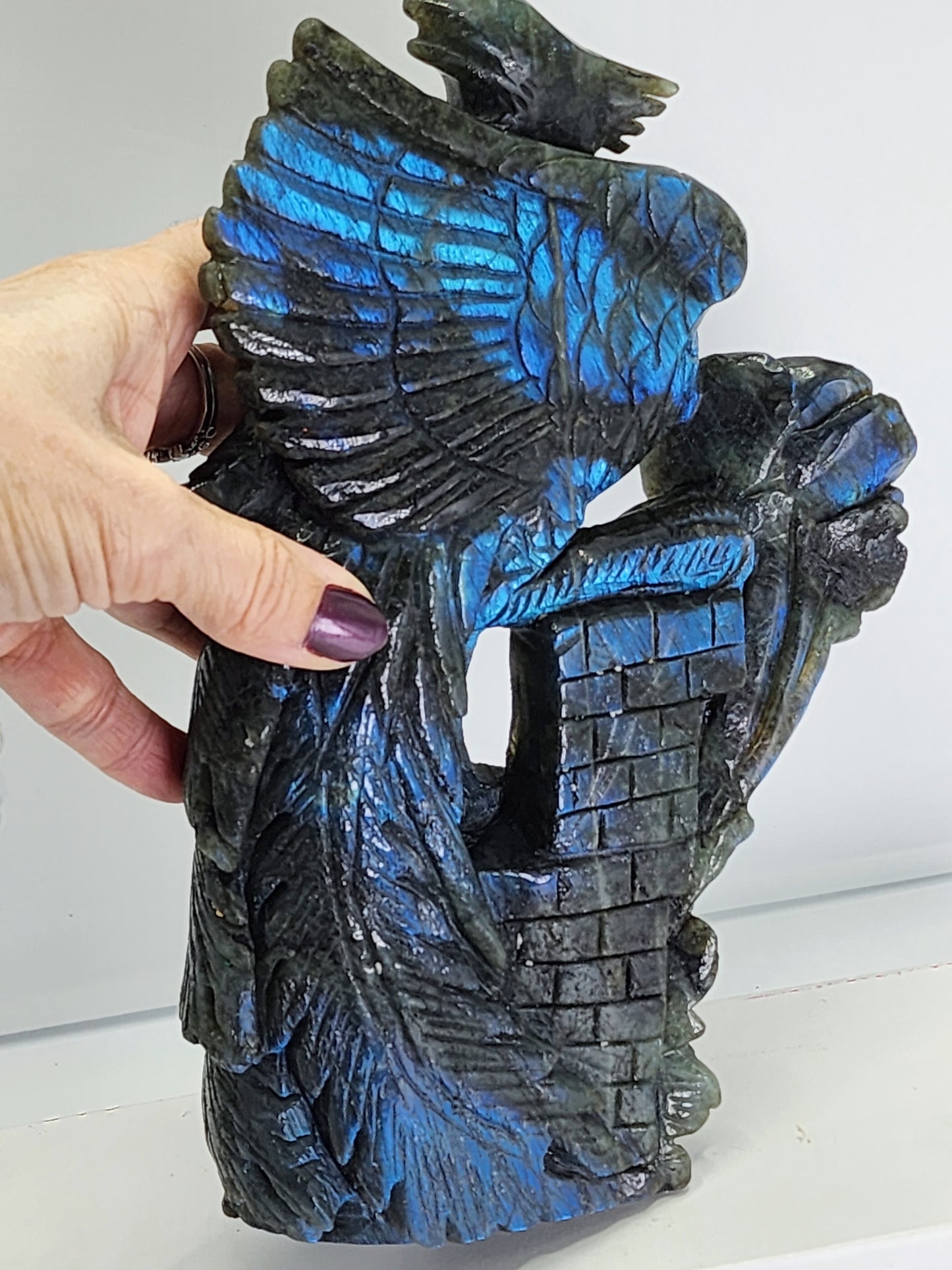 Large Labradorite Pheonix Carving over 3lbs qualifies for free shipping