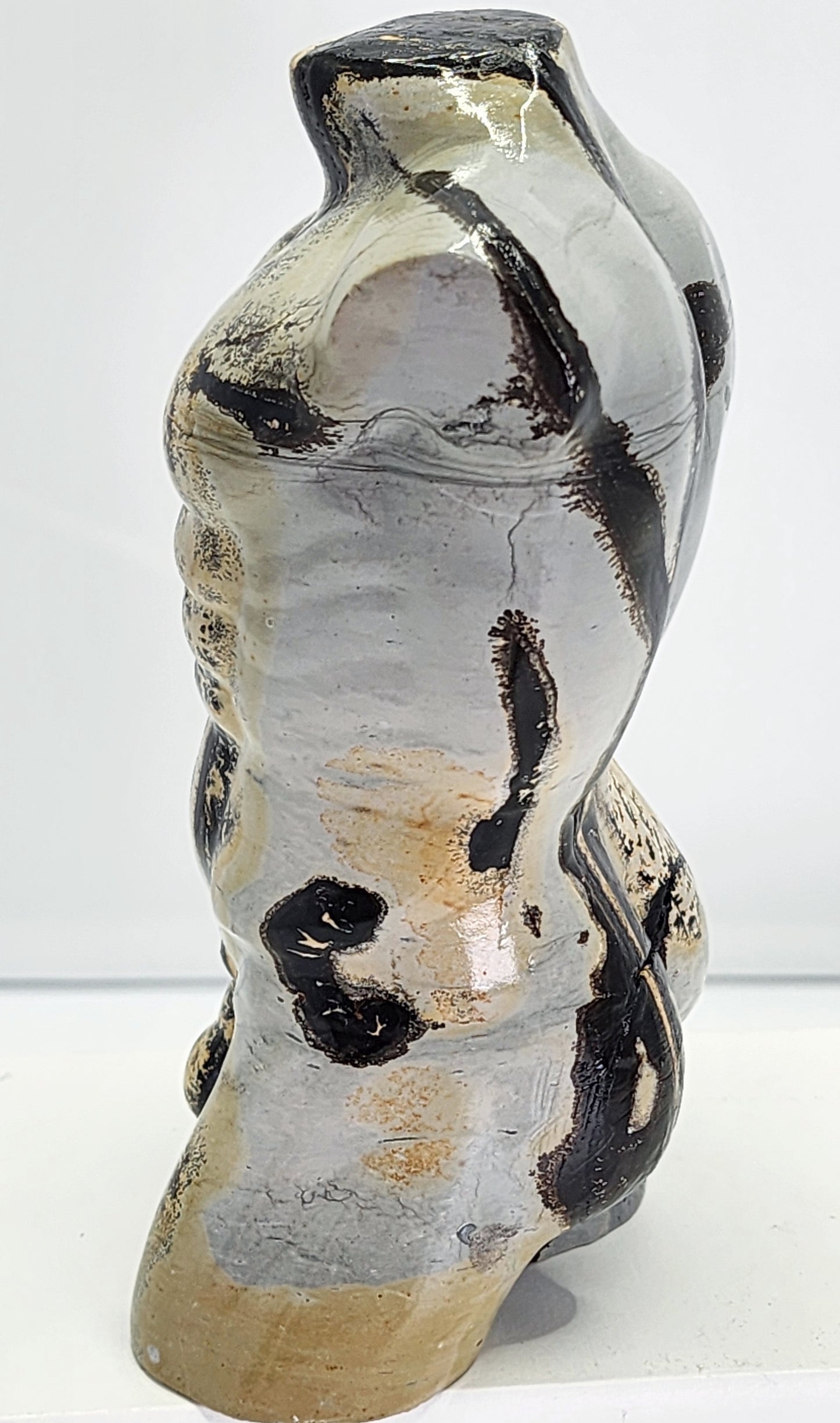 Picture Jasper Male Body over 2lbs qualifies for free shipping