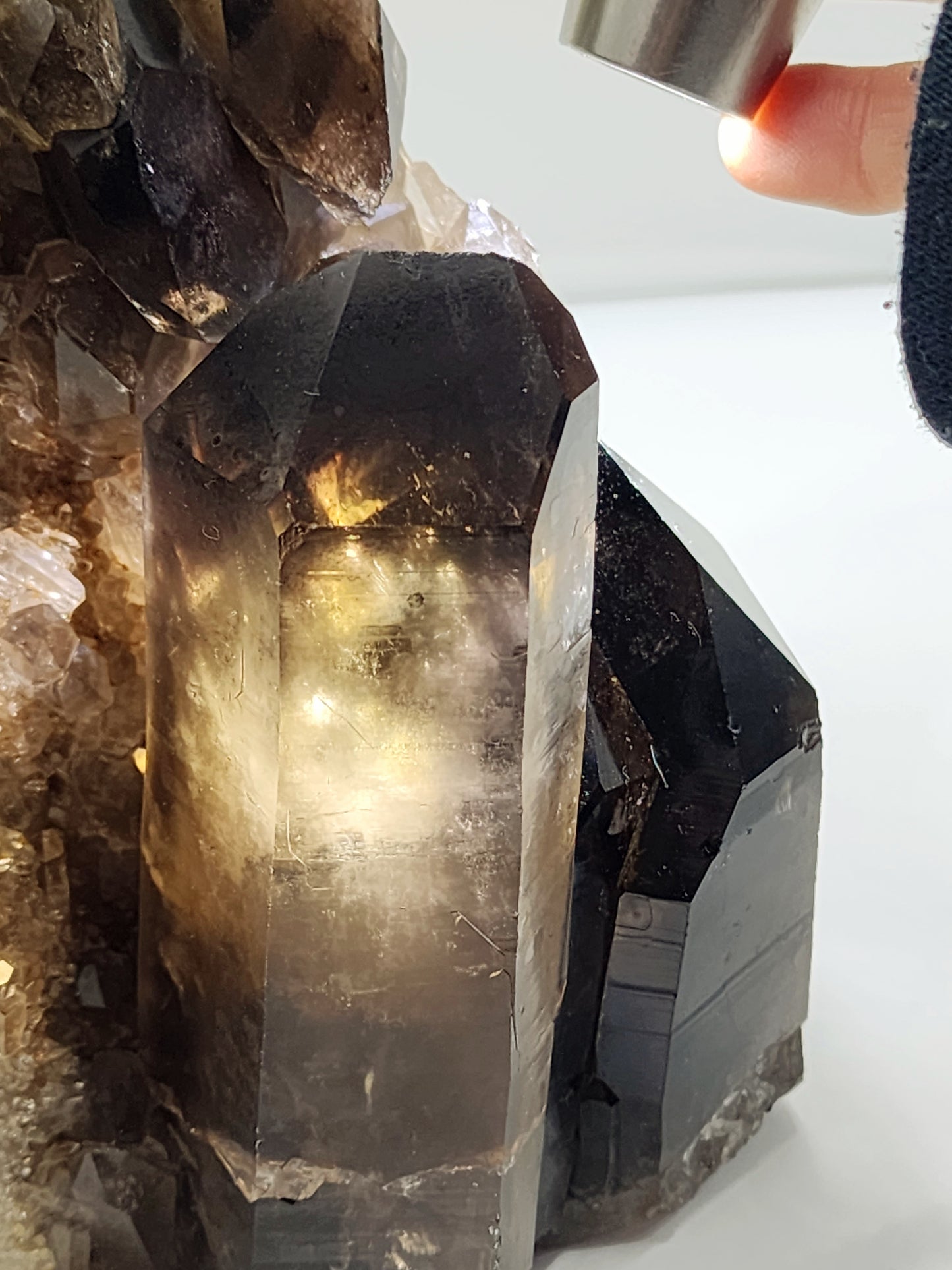 Large Yellow Jasper Parrot on Smokey Quartz Cluster Base Large 6Lbs qualifies for free shipping