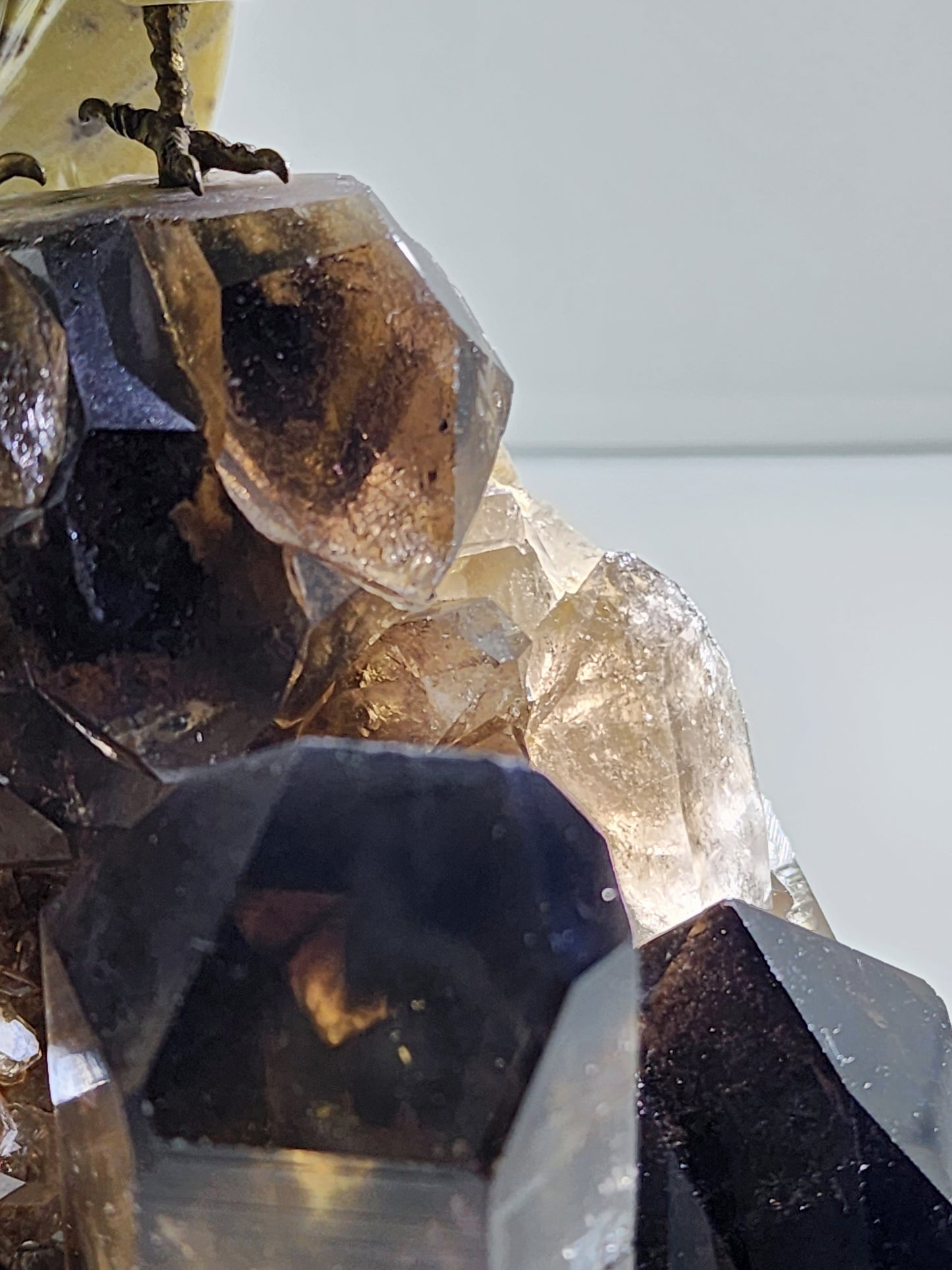 Large Yellow Jasper Parrot on Smokey Quartz Cluster Base Large 6Lbs qualifies for free shipping