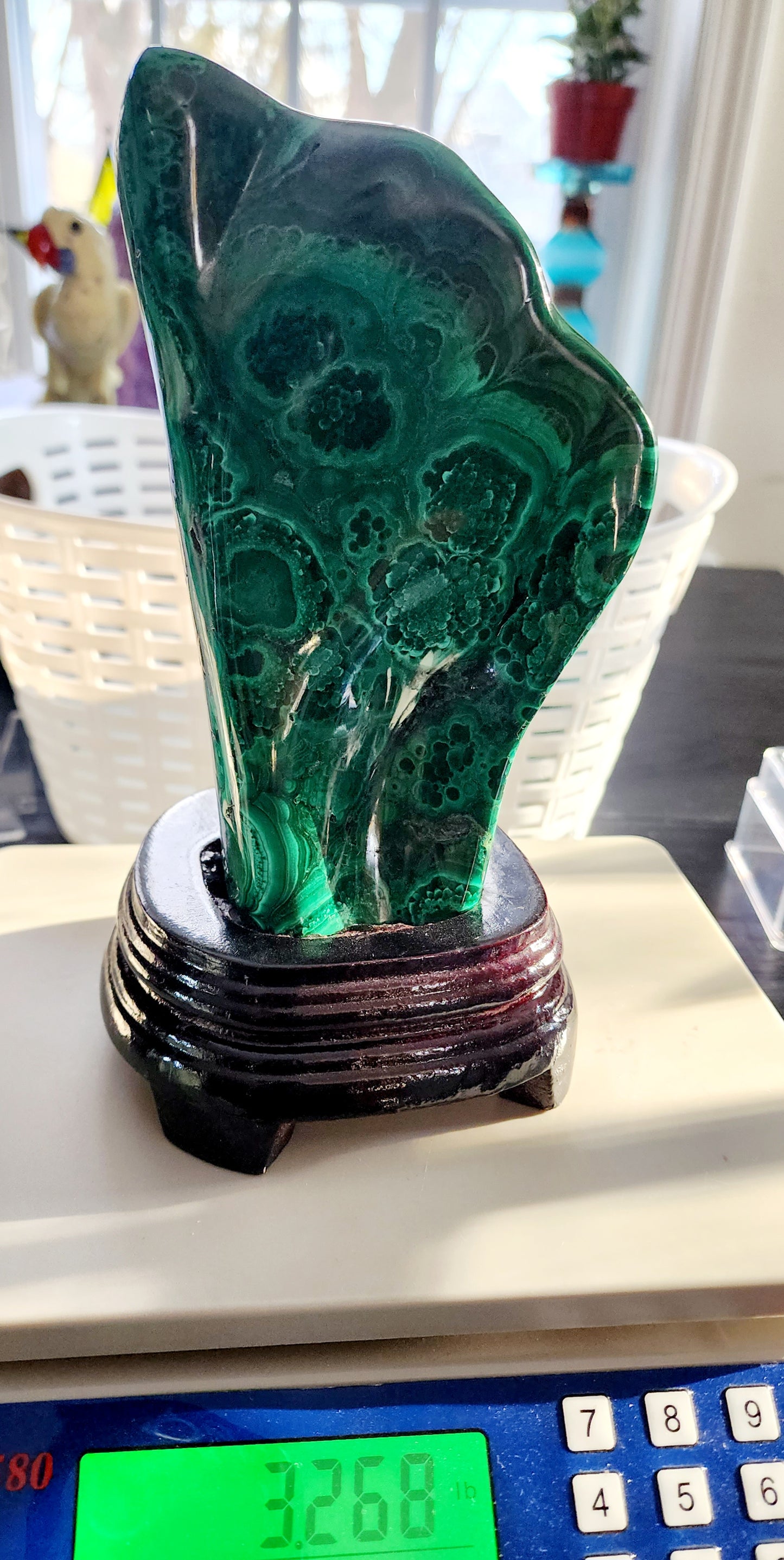 Malachite Free Form on Custom Base 8"over 2.5lbs qualifies for free shipping