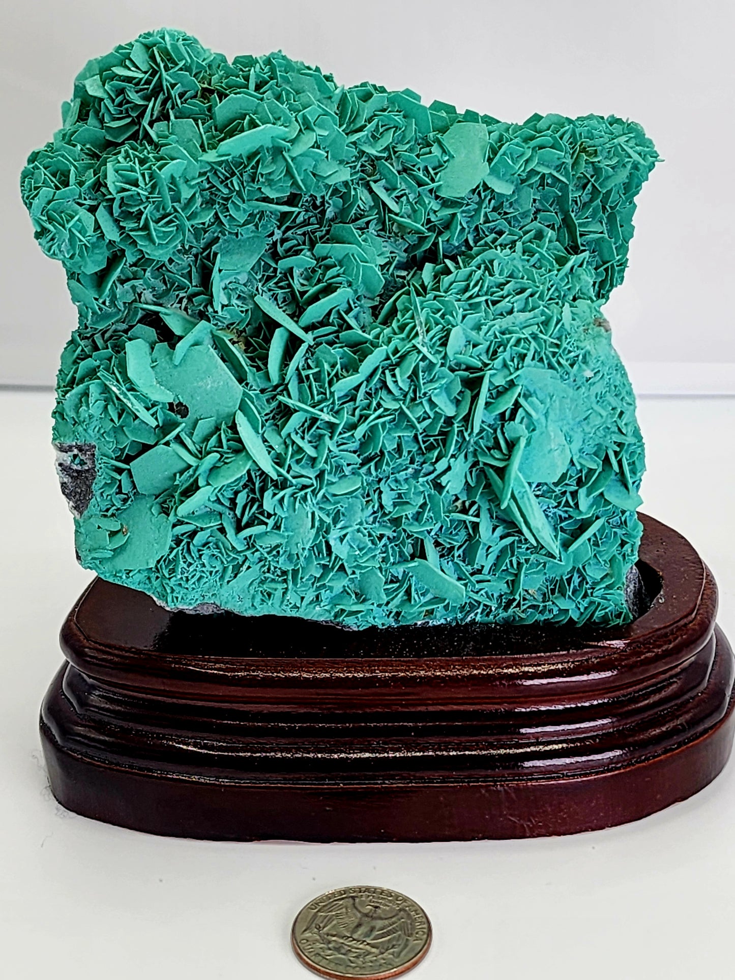 Green Petal Calcite From Morocco over 2lbs qualifies for free shipping