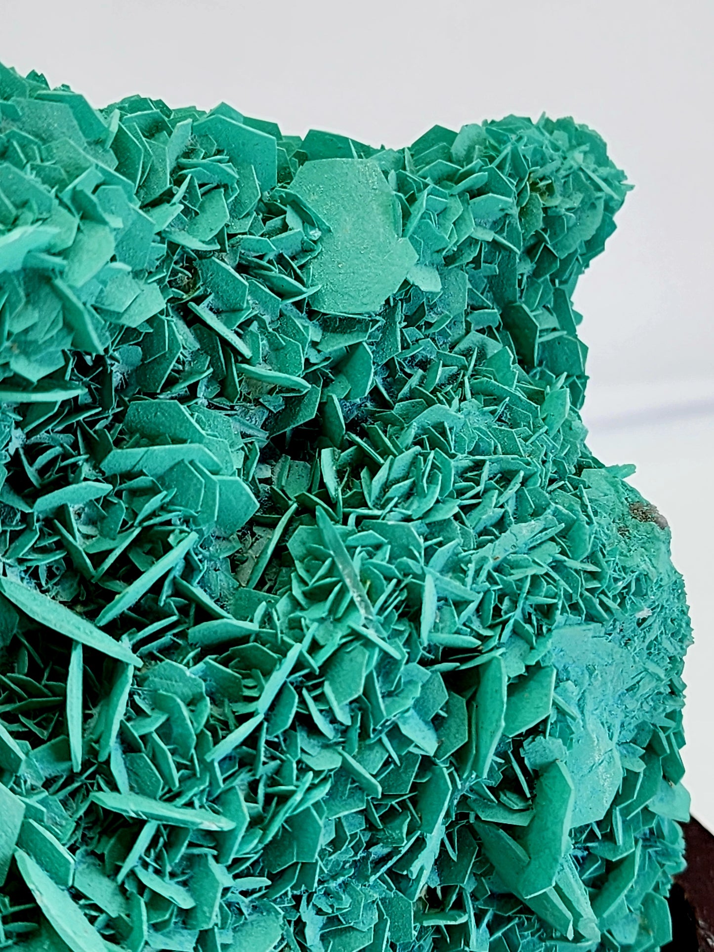 Green Petal Calcite From Morocco over 2lbs qualifies for free shipping