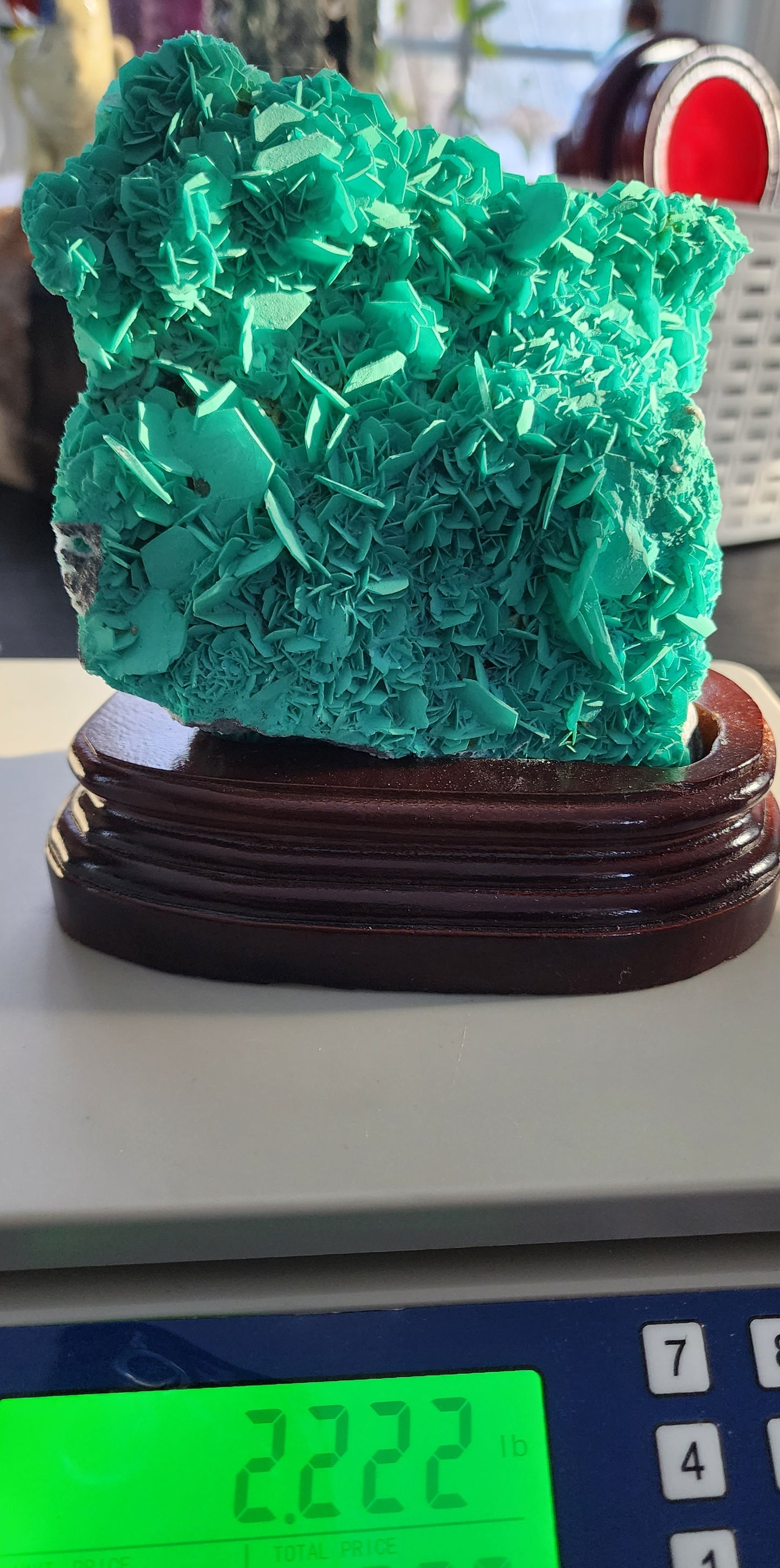 Green Petal Calcite From Morocco over 2lbs qualifies for free shipping