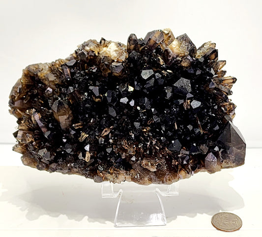 Large Dark Smokey Cluster from Brazil 3lbs qualifies for free shipping