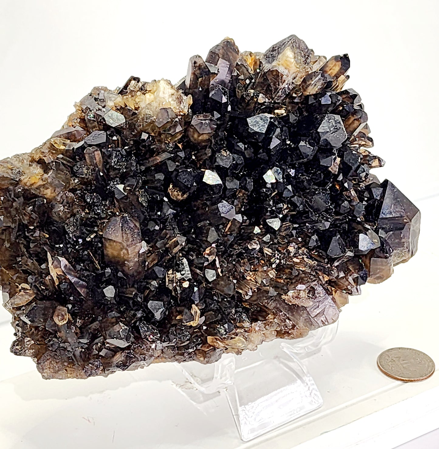 Large Dark Smokey Cluster from Brazil 3lbs qualifies for free shipping