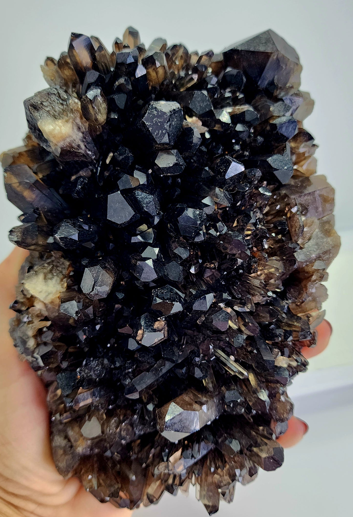 Large Dark Smokey Cluster from Brazil 3lbs qualifies for free shipping