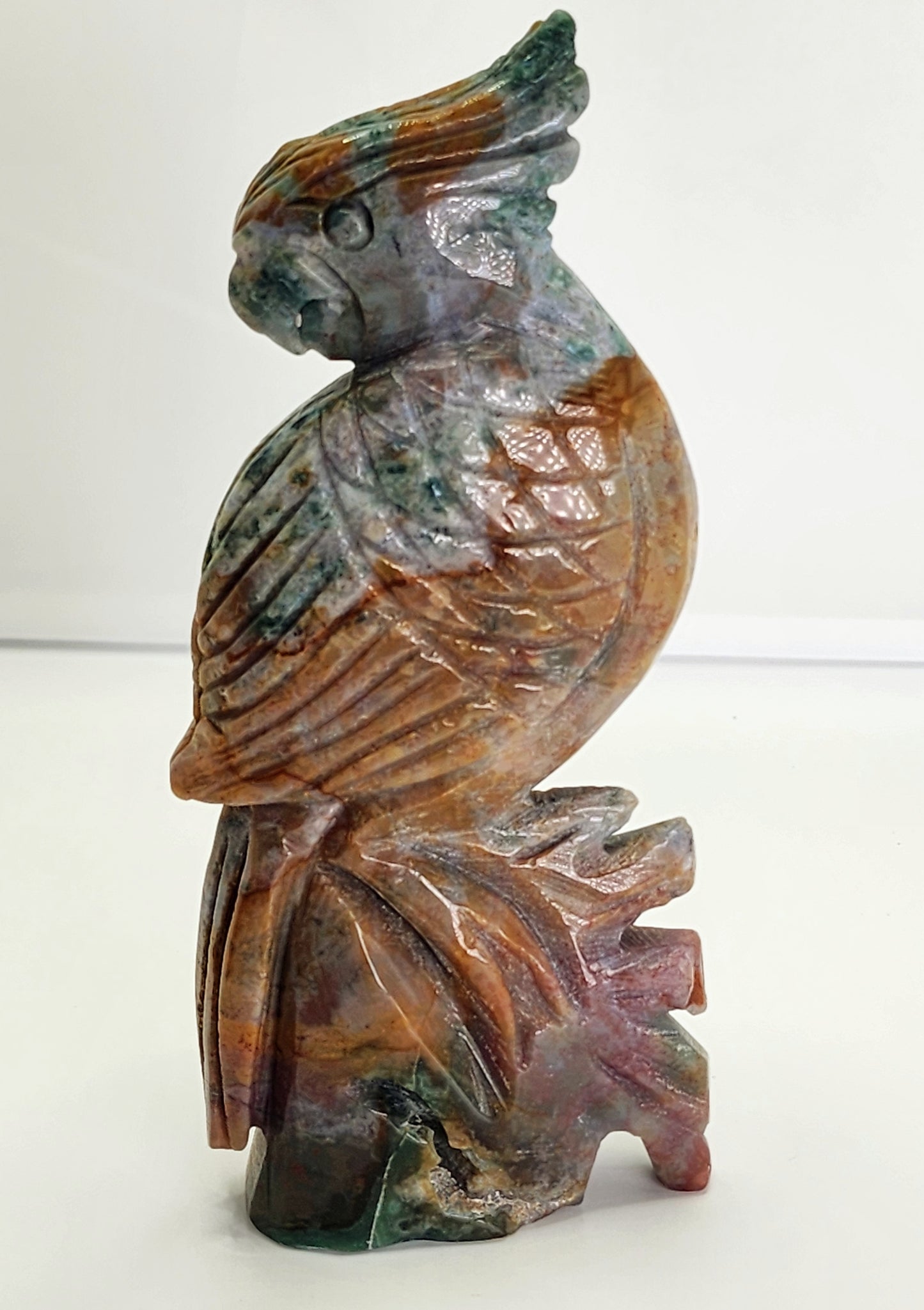 Ocean Jasper Parrot and 1lb qualifies for free shipping