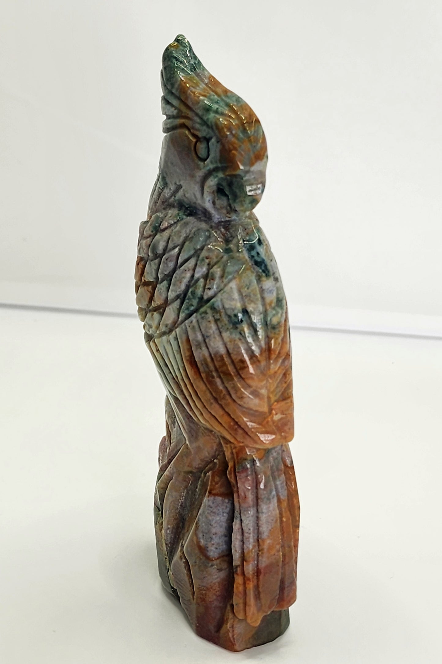 Ocean Jasper Parrot and 1lb qualifies for free shipping