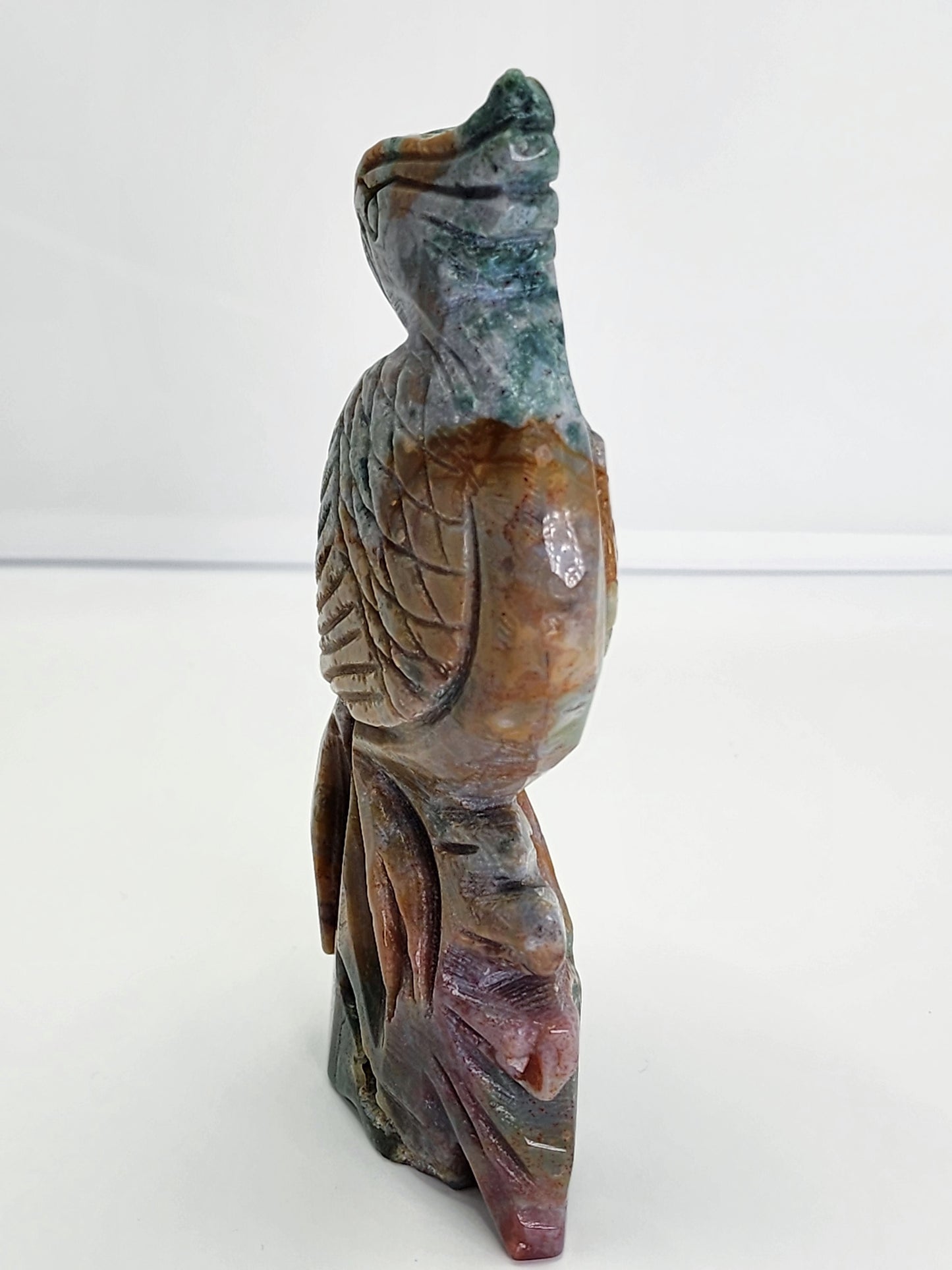 Ocean Jasper Parrot and 1lb qualifies for free shipping