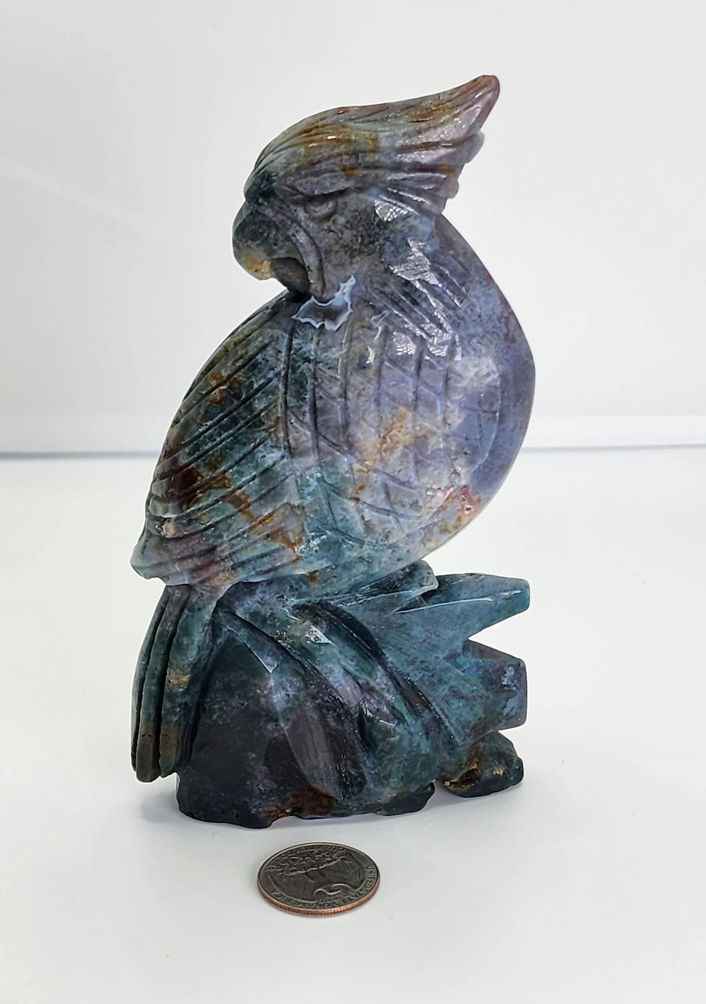Ocean Jasper Parrot Carving 1lb qualifies for free shipping