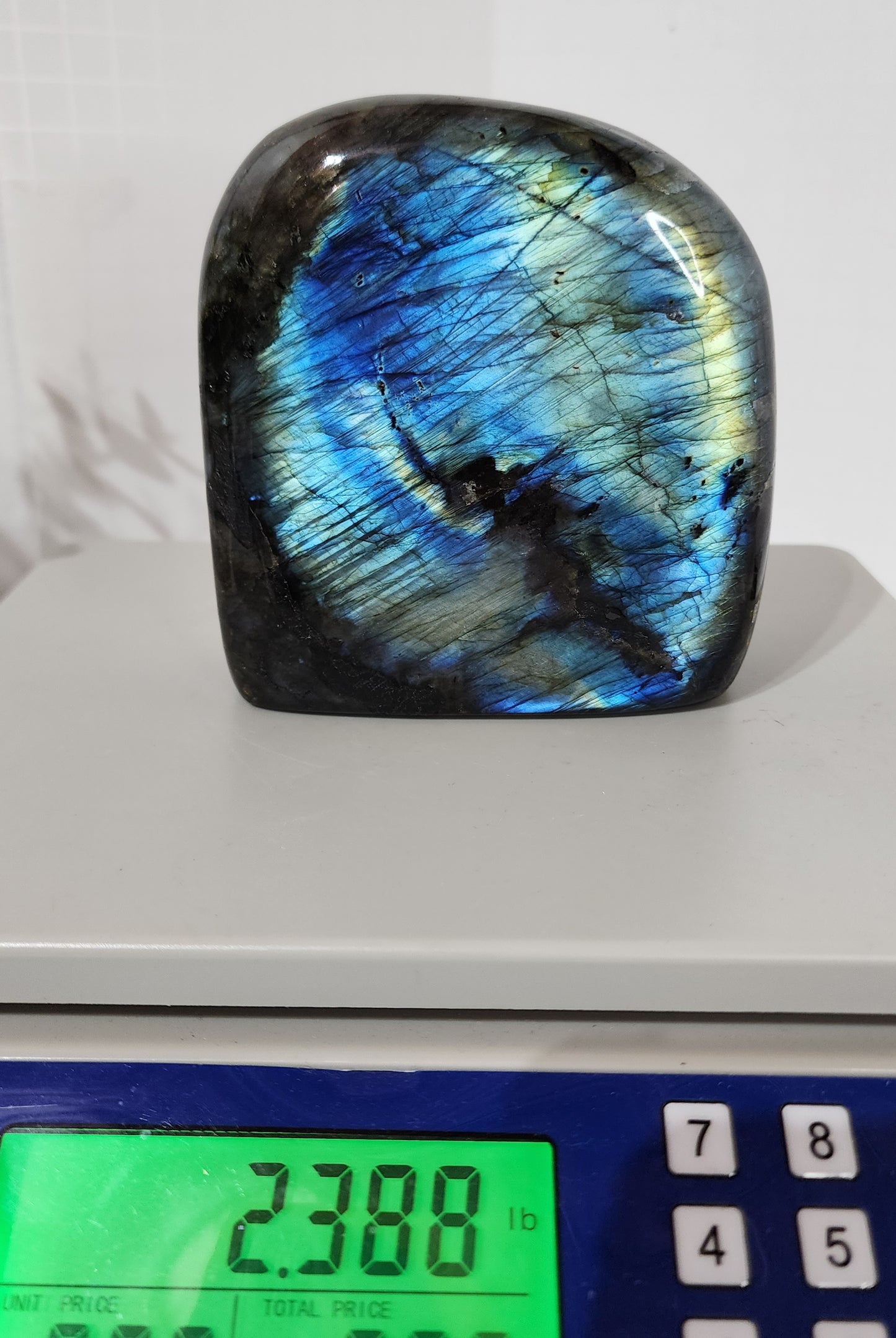 Strong Blue Flash Labradorite Free Form over 2lbs qualifies for free shipping