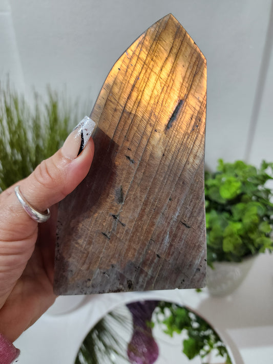 Sunset Flash Labradorite Free Form over 2lbs qualifies for free shipping