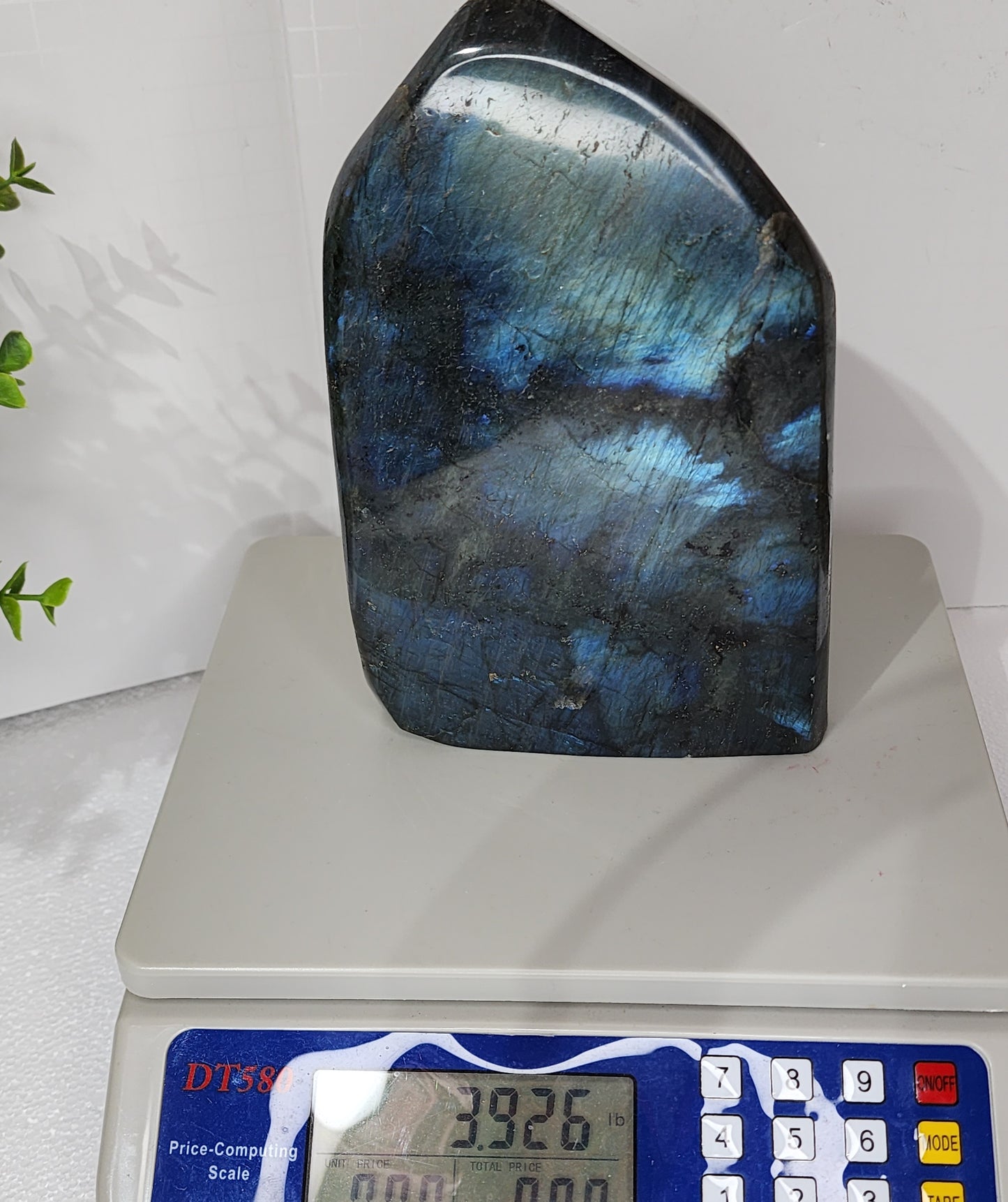 Large Blue Flash Labradorite Free Form App 4lbs qualifies for free shipping