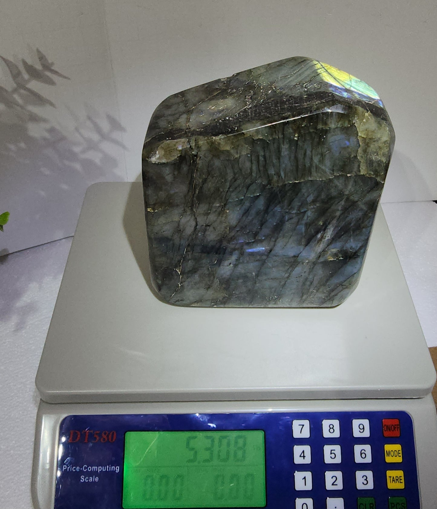 Large Labradorite Free Form over 5lbs qualifies for free shipping