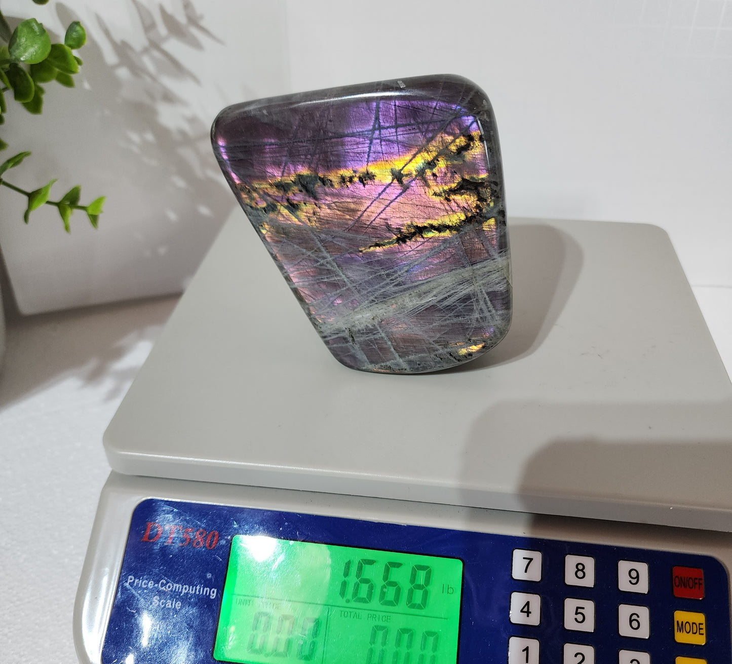 Purple Flash Labradorite Free Form over 1.5lbs qualifies for free shipping