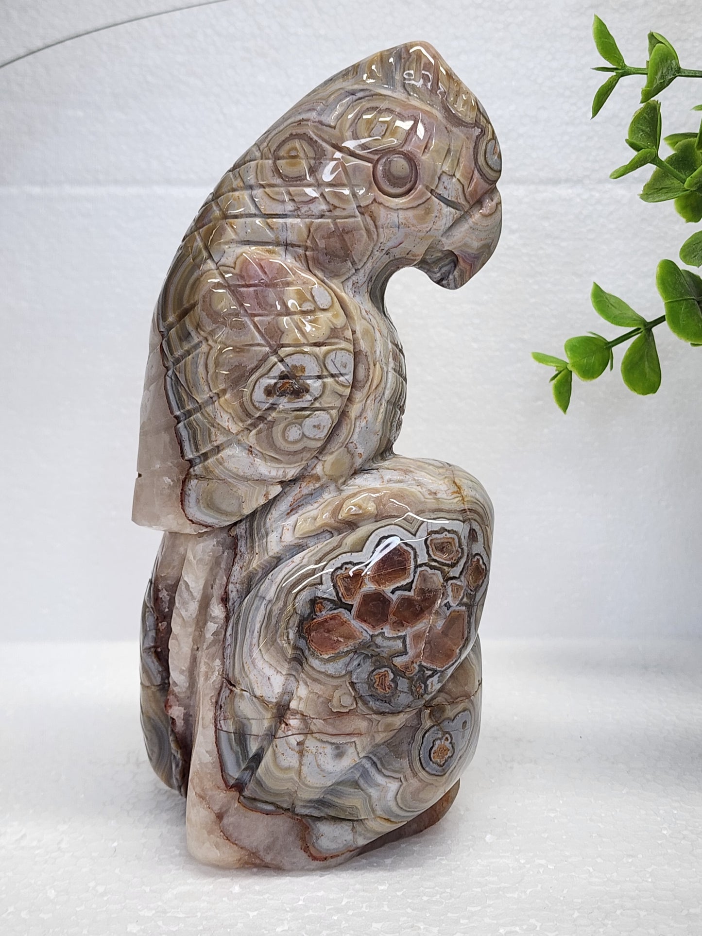 Mexican Lace/Amethyst Parrot over Carving over 2lbs qualifies for free shipping