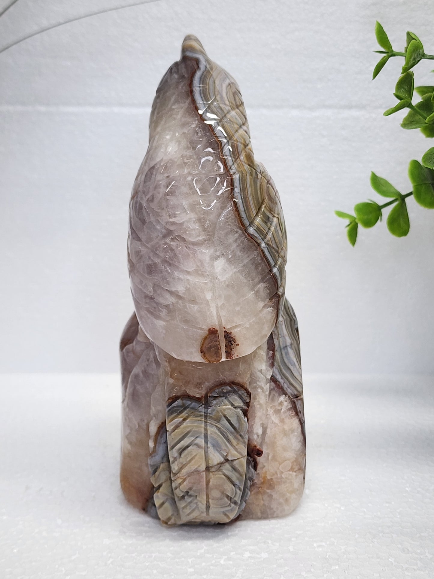 Mexican Lace/Amethyst Parrot over Carving over 2lbs qualifies for free shipping