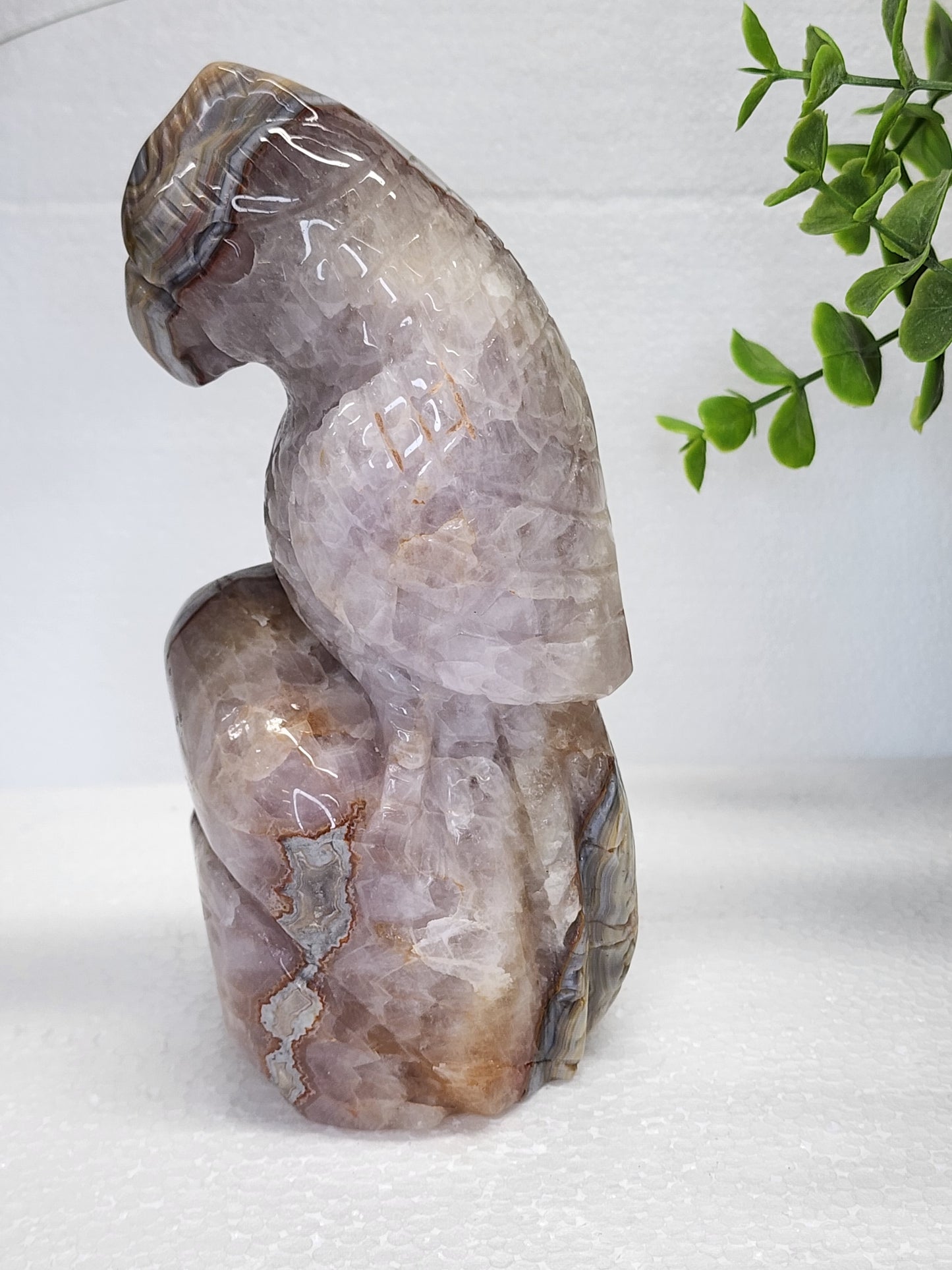 Mexican Lace/Amethyst Parrot over Carving over 2lbs qualifies for free shipping