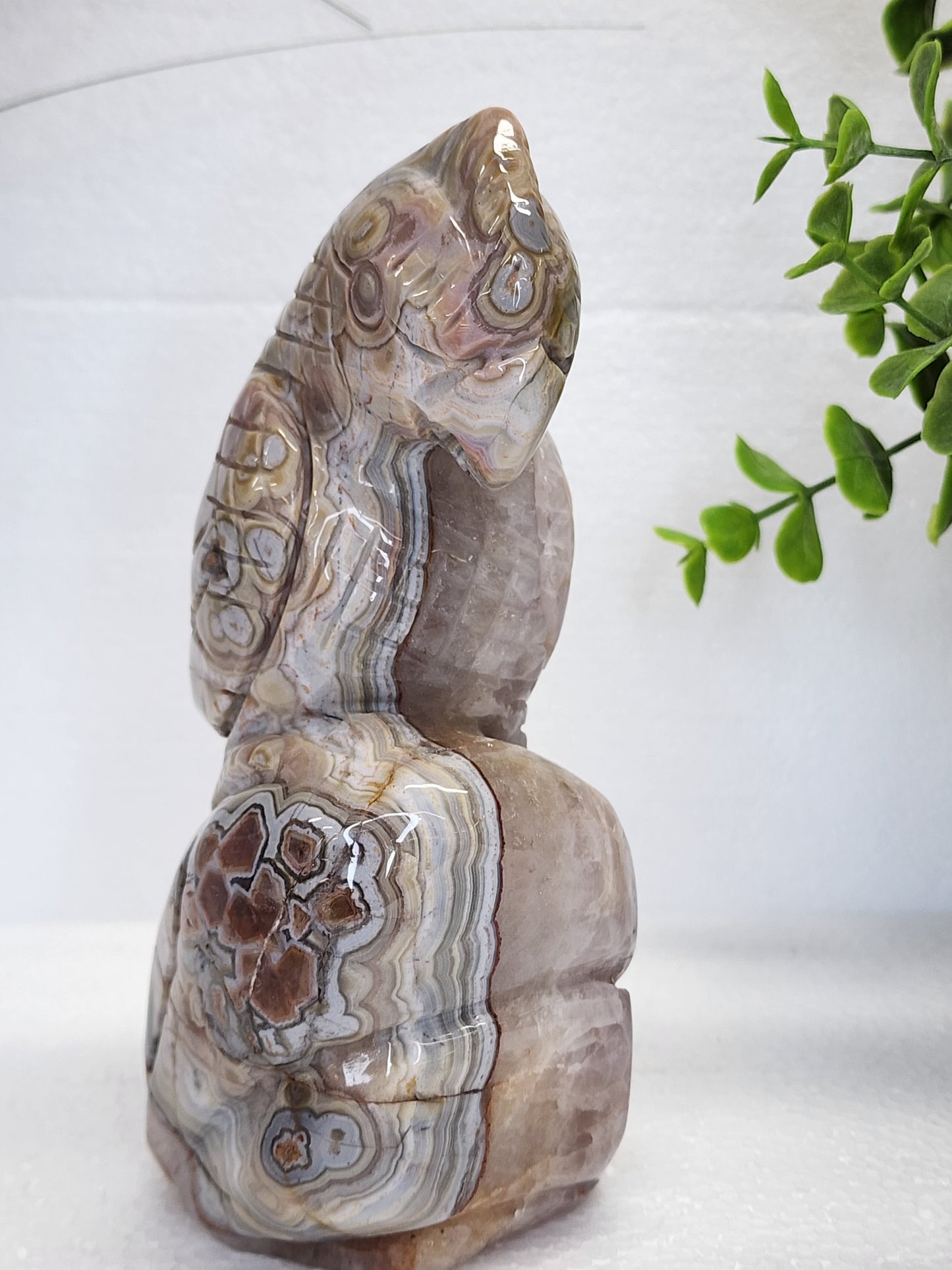 Mexican Lace/Amethyst Parrot over Carving over 2lbs qualifies for free shipping