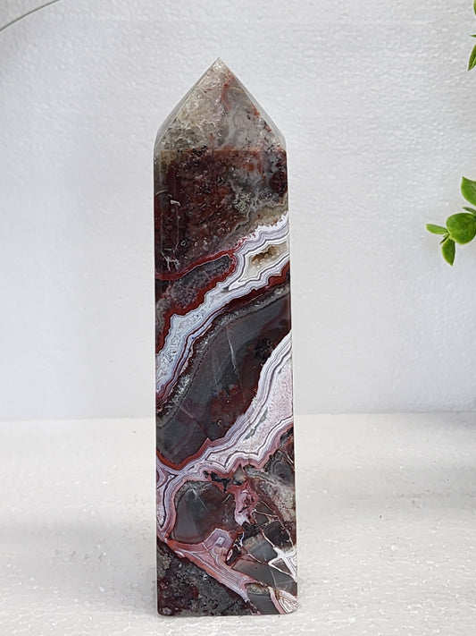 Mexican Lace Tower qualifies for free shipping