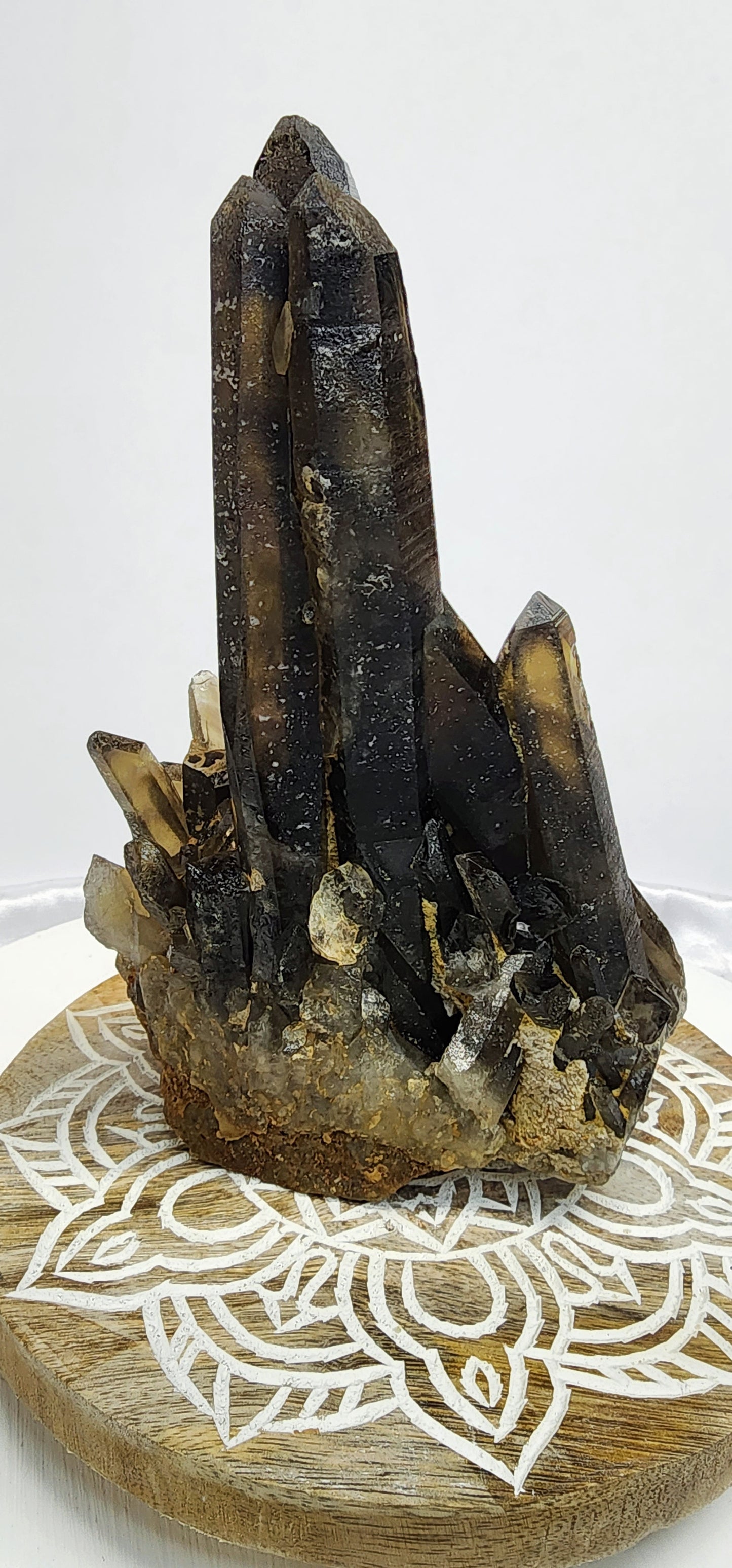 Large Maganise Smoky Citrine Multi Point Cluster over 3.5lbs qualifies for free shipping