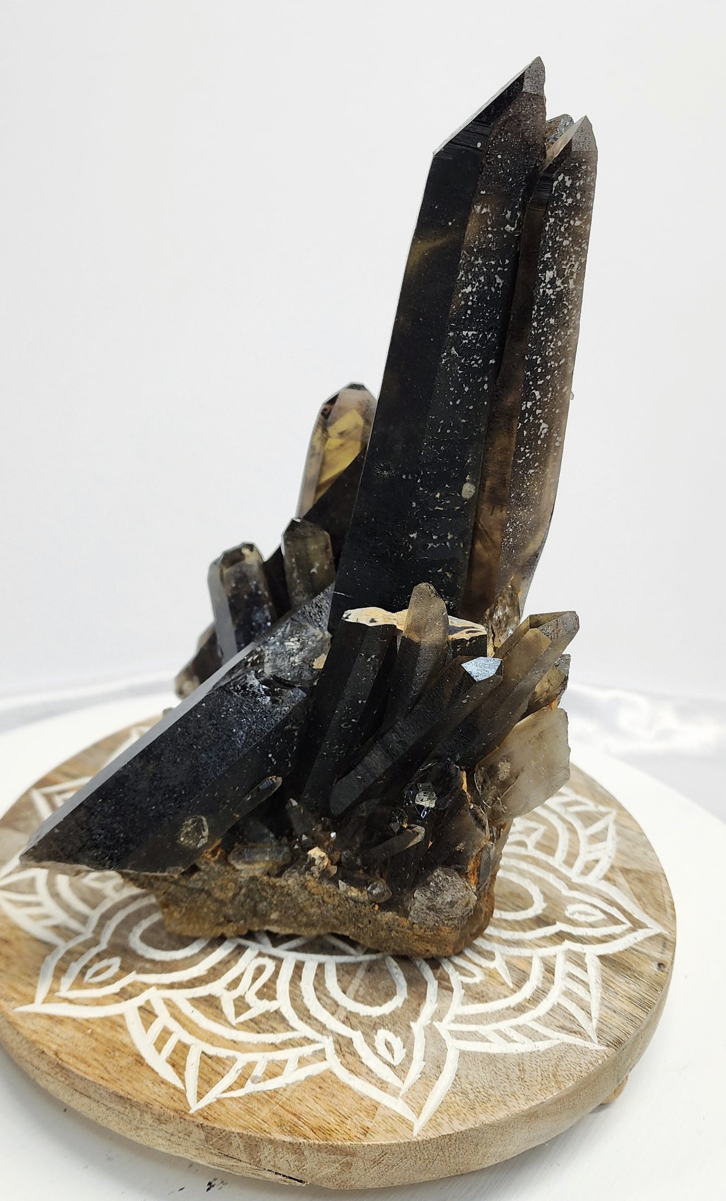 Large Maganise Smoky Citrine Multi Point Cluster over 3.5lbs qualifies for free shipping