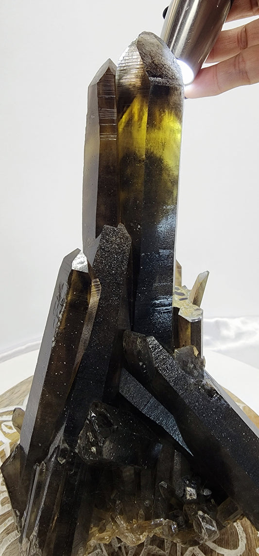 Large Maganise Smoky Citrine Multi Point Cluster over 3.5lbs qualifies for free shipping