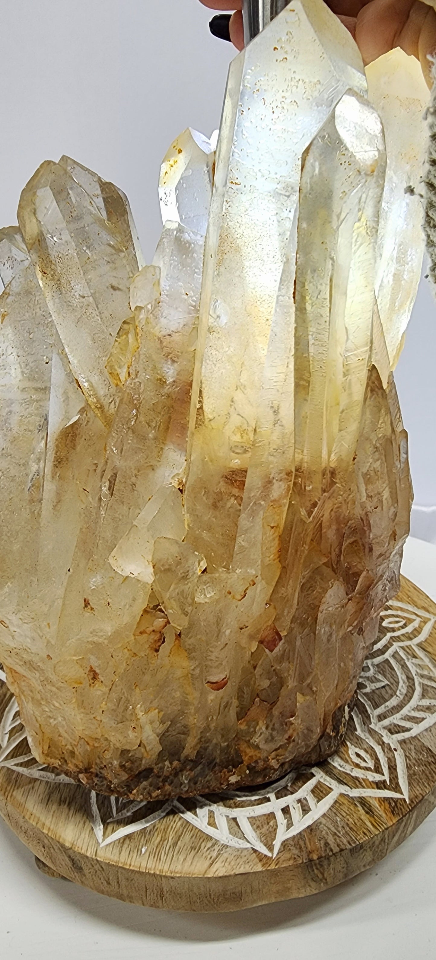 Extra Large Golden Healer/ Red Mud Phantom multiple Point Quartz Cluster 11.5 lbs qualifies for free shipping