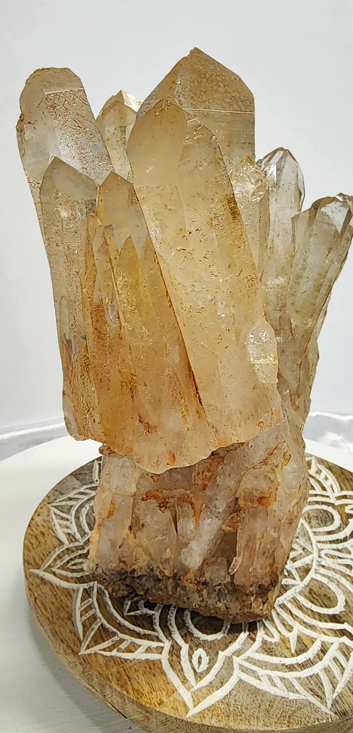 Extra Large Golden Healer/ Red Mud Phantom multiple Point Quartz Cluster 11.5 lbs qualifies for free shipping