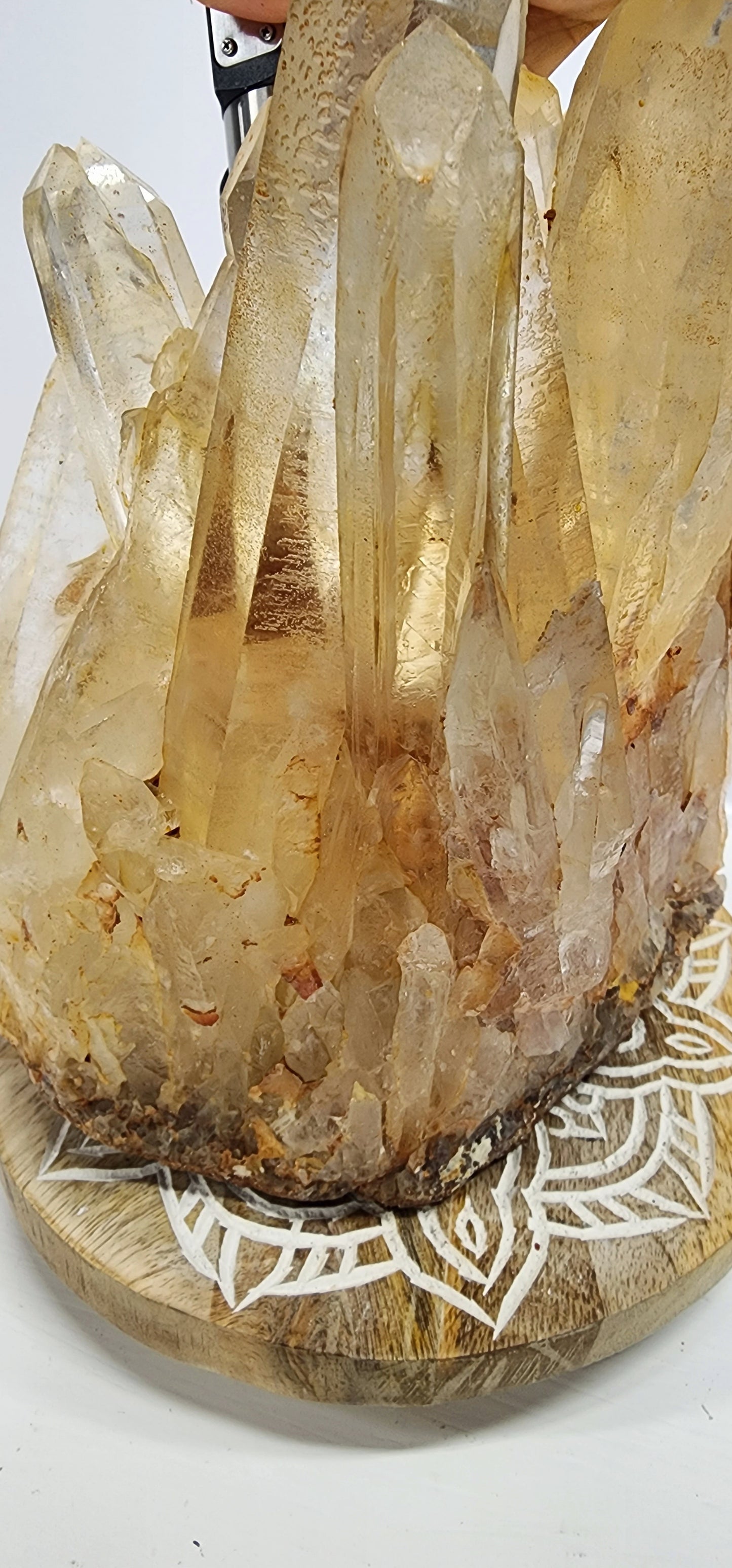 Extra Large Golden Healer/ Red Mud Phantom multiple Point Quartz Cluster 11.5 lbs qualifies for free shipping