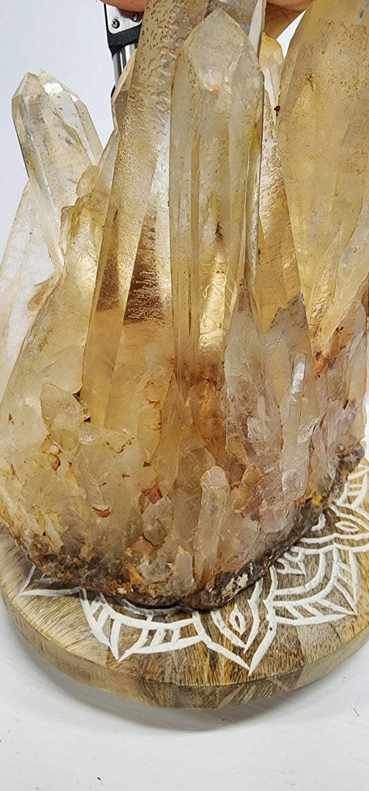 Extra Large Golden Healer/ Red Mud Phantom multiple Point Quartz Cluster 11.5 lbs qualifies for free shipping