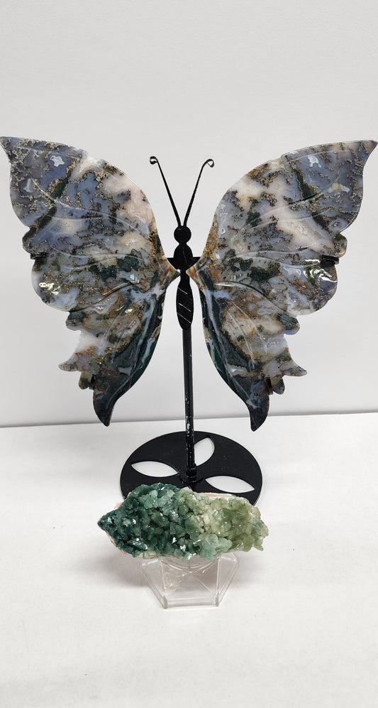 1 Basket Reserved for Alyssa