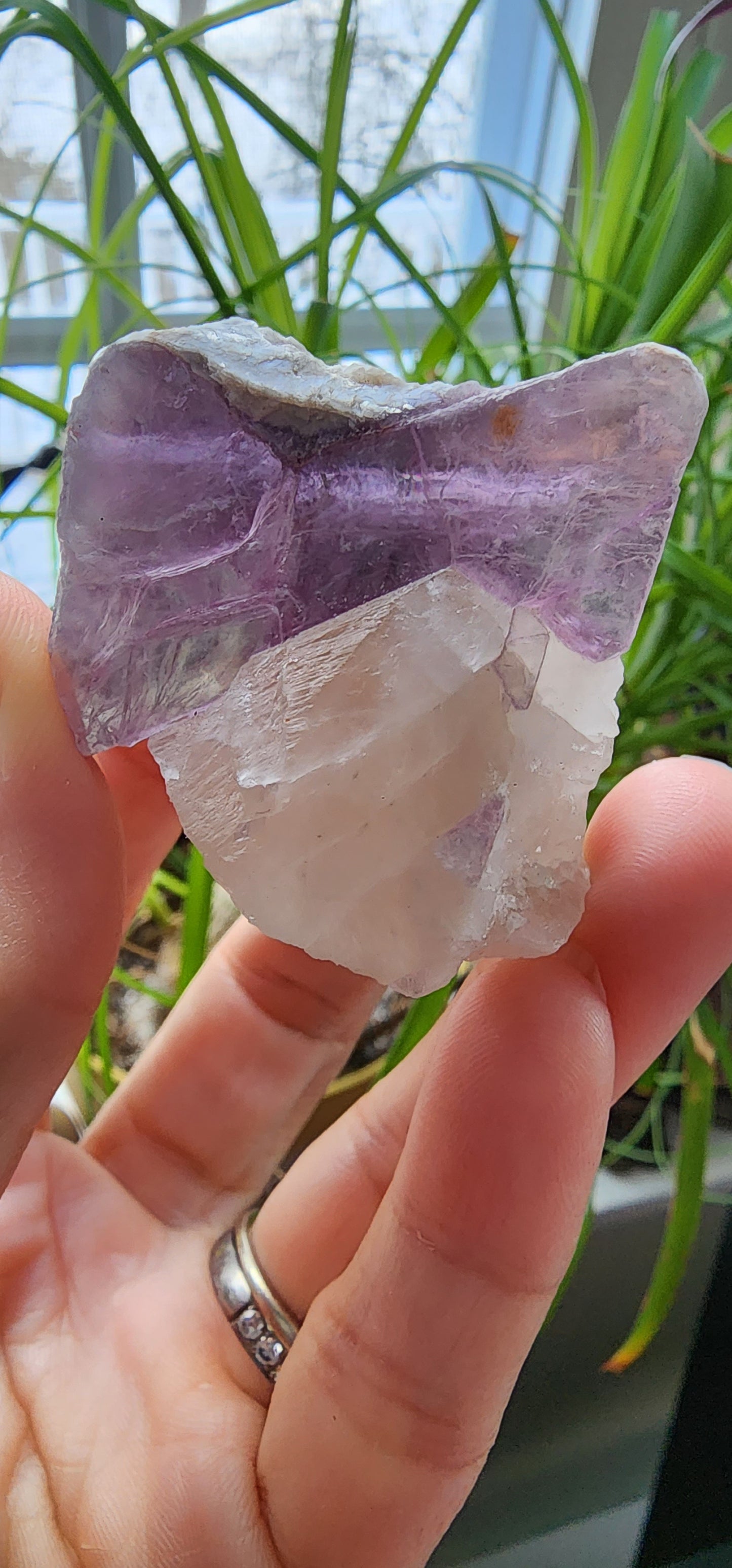 1 Basket Reserved for Tracy ON HOLD