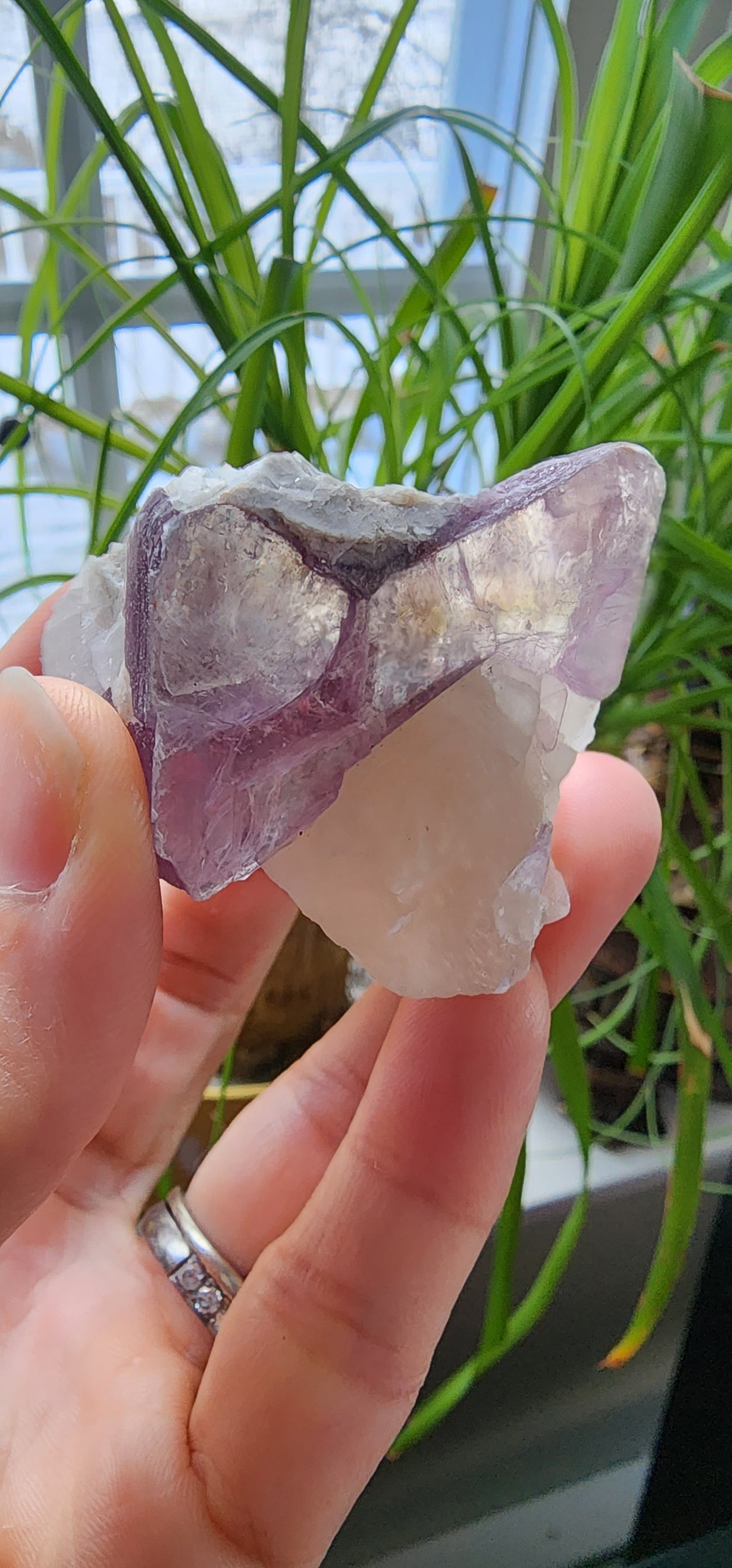 1 Basket Reserved for Tracy ON HOLD