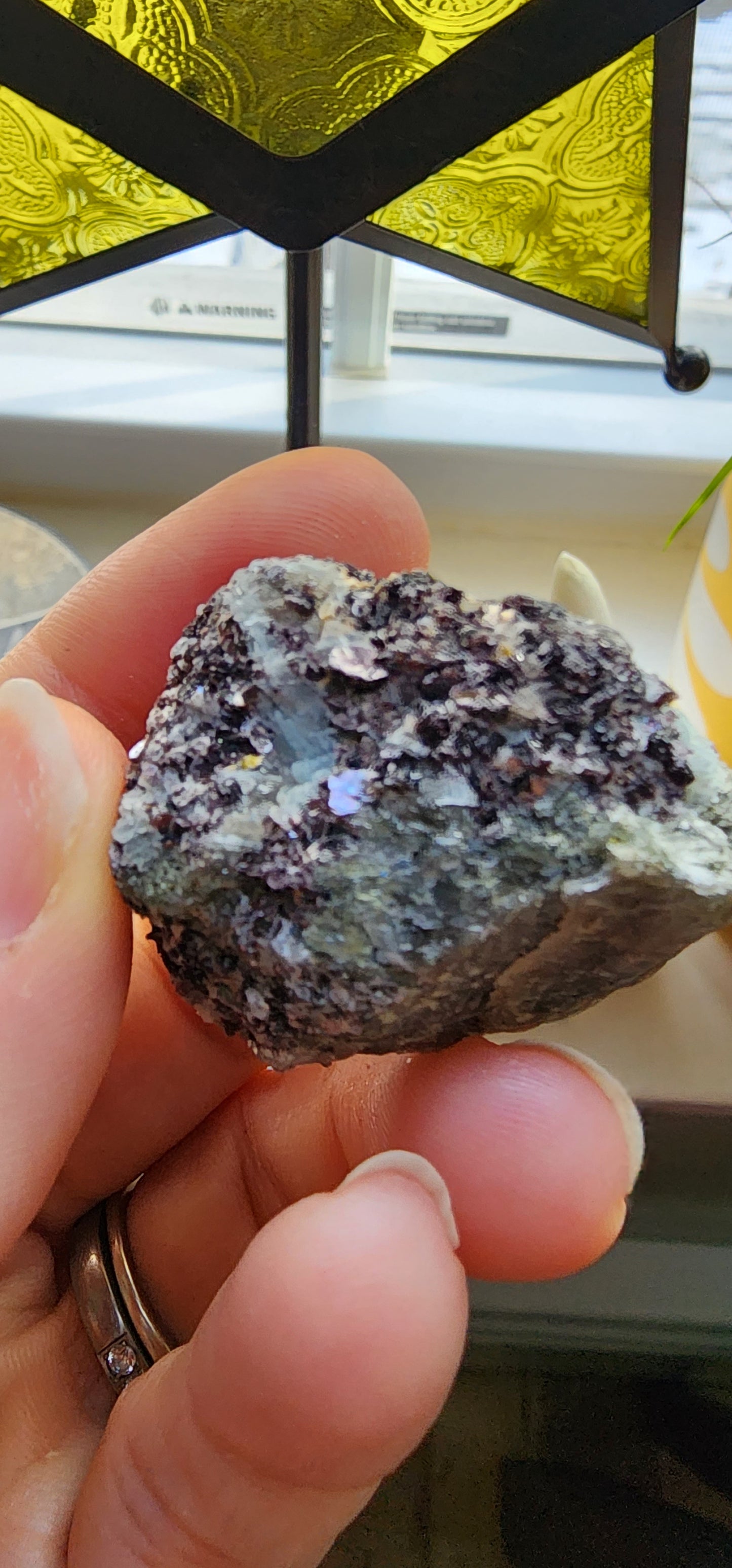 1 Basket Reserved for Tracy ON HOLD