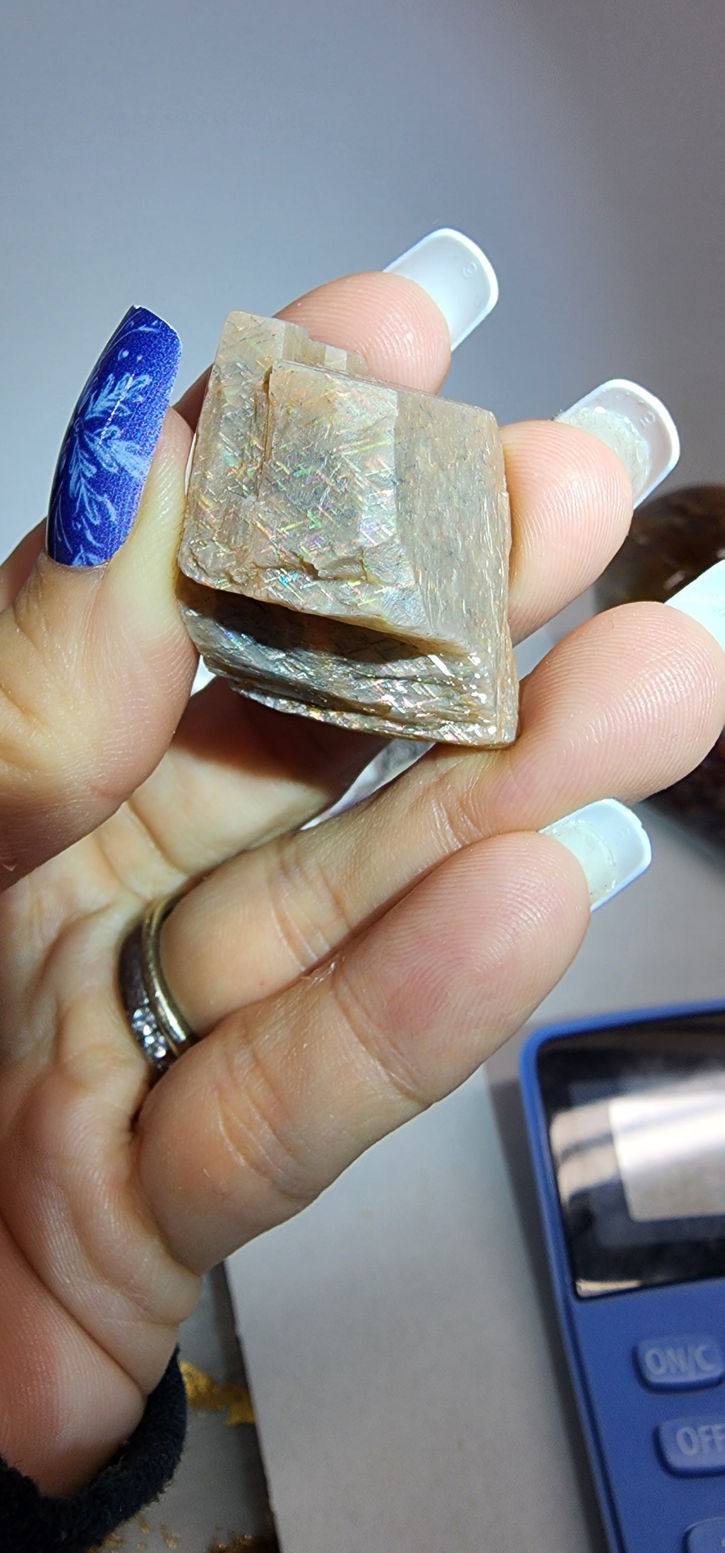 1 Basket Reserved for Tracy ON HOLD