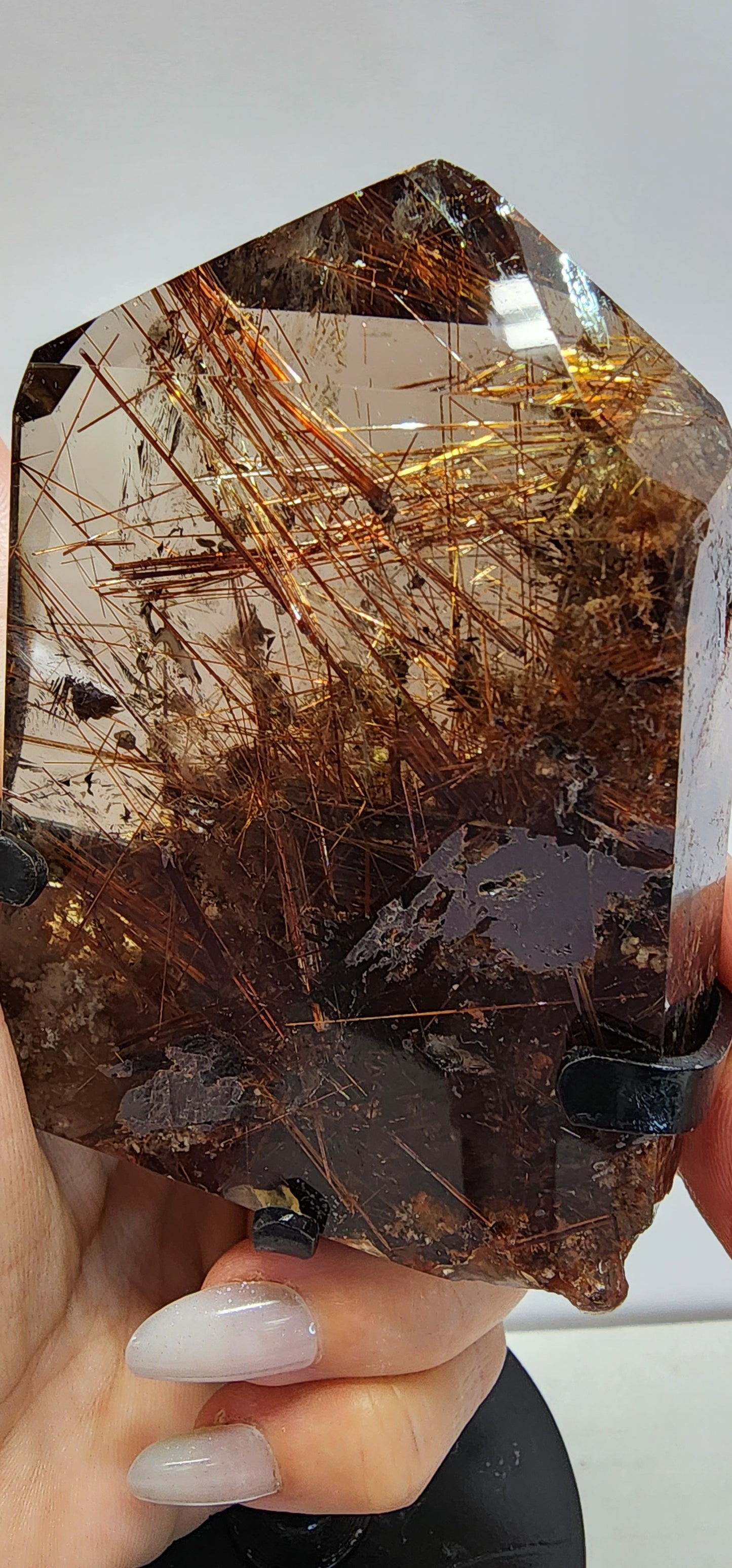 #4 Basket Reserved for Bridget ON HOLD