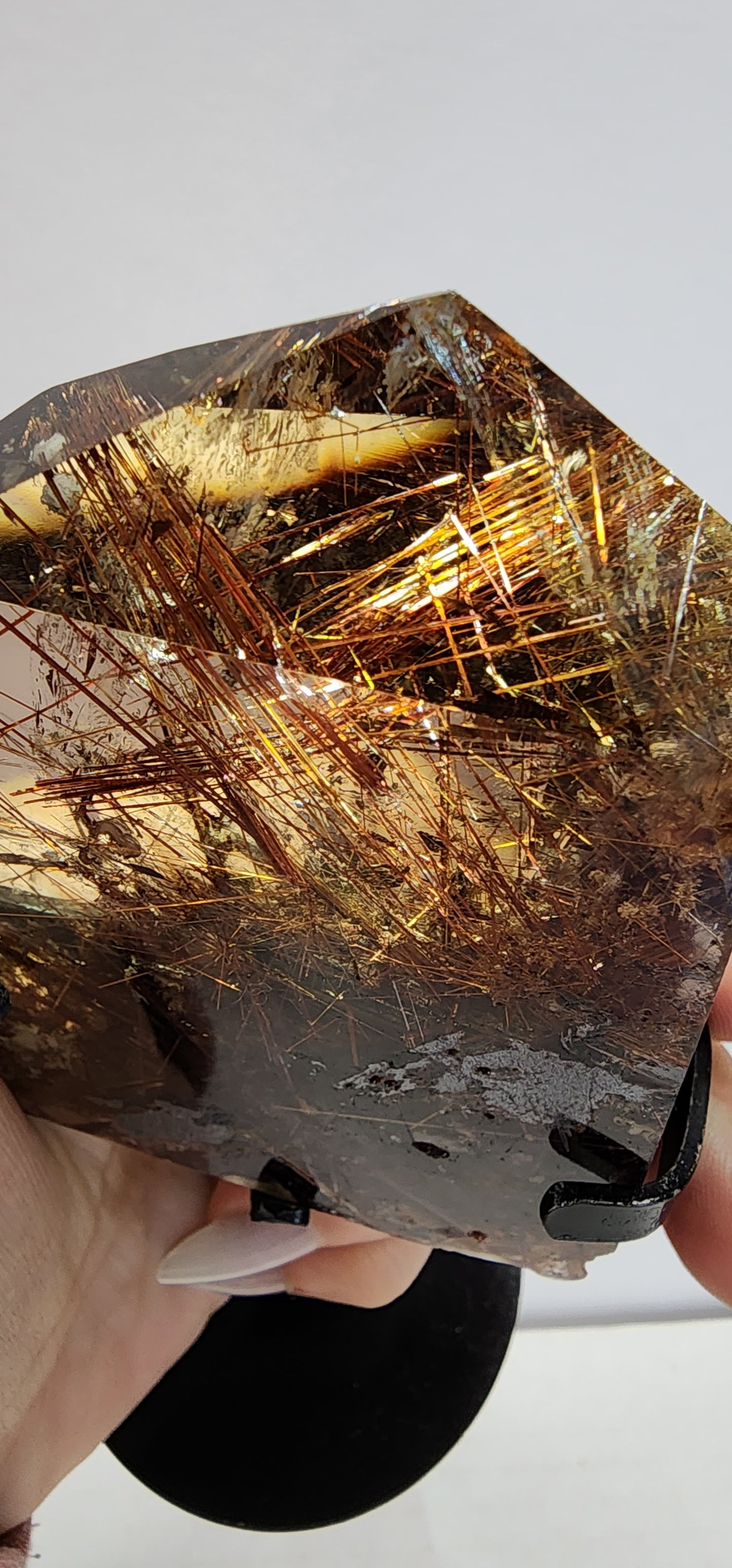 #4 Basket Reserved for Bridget ON HOLD