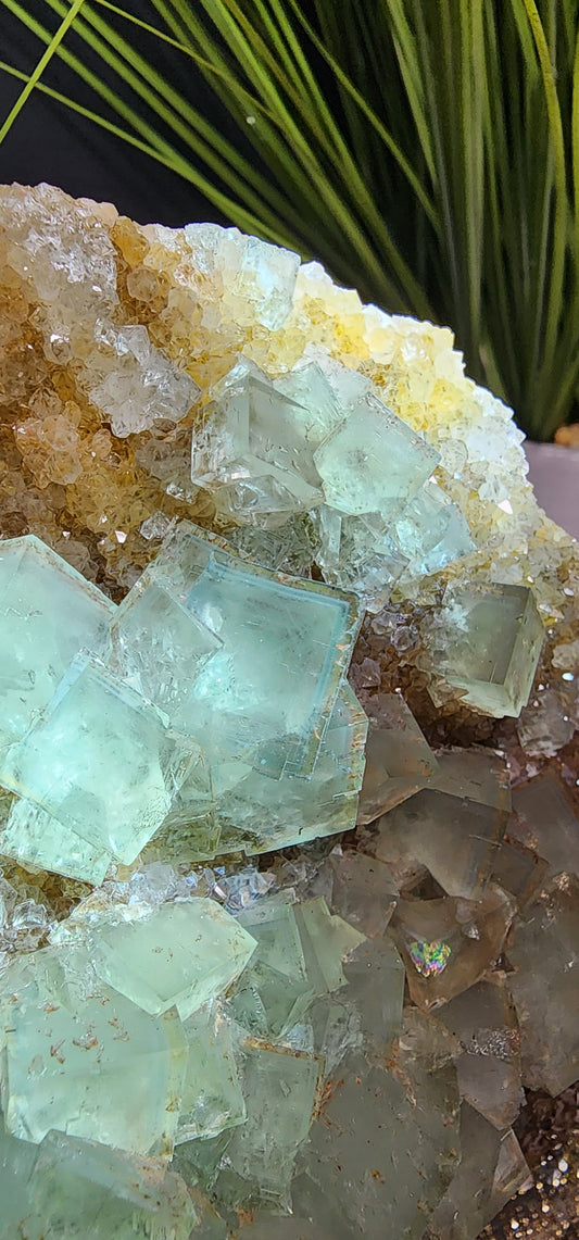 Extra Large Blue Phantom Cube Fluorite Specimen