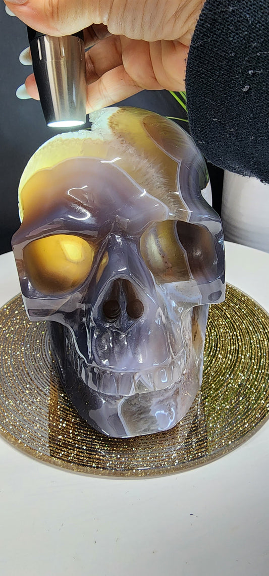 Extra Large Druzy Agate Skull with Smoky Citrine