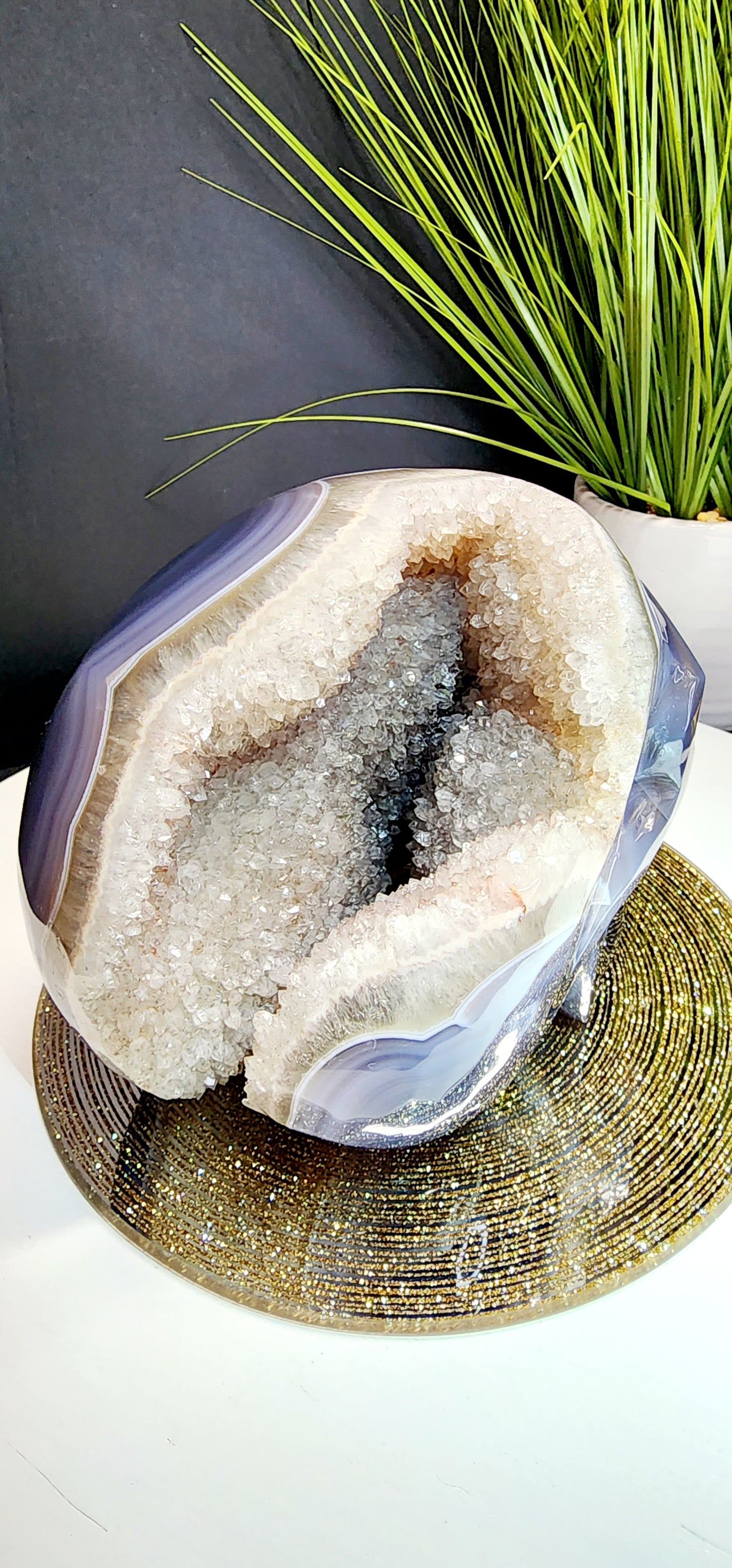 Extra Large Druzy Agate Skull with Smoky Citrine